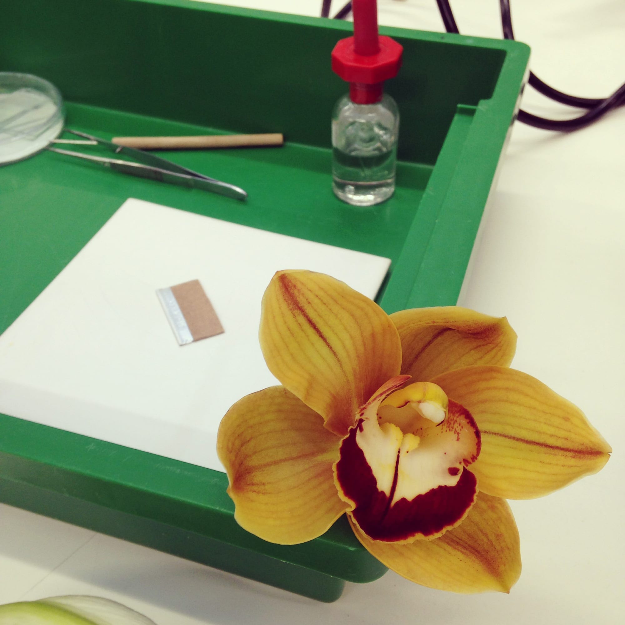 Royal Holloway University