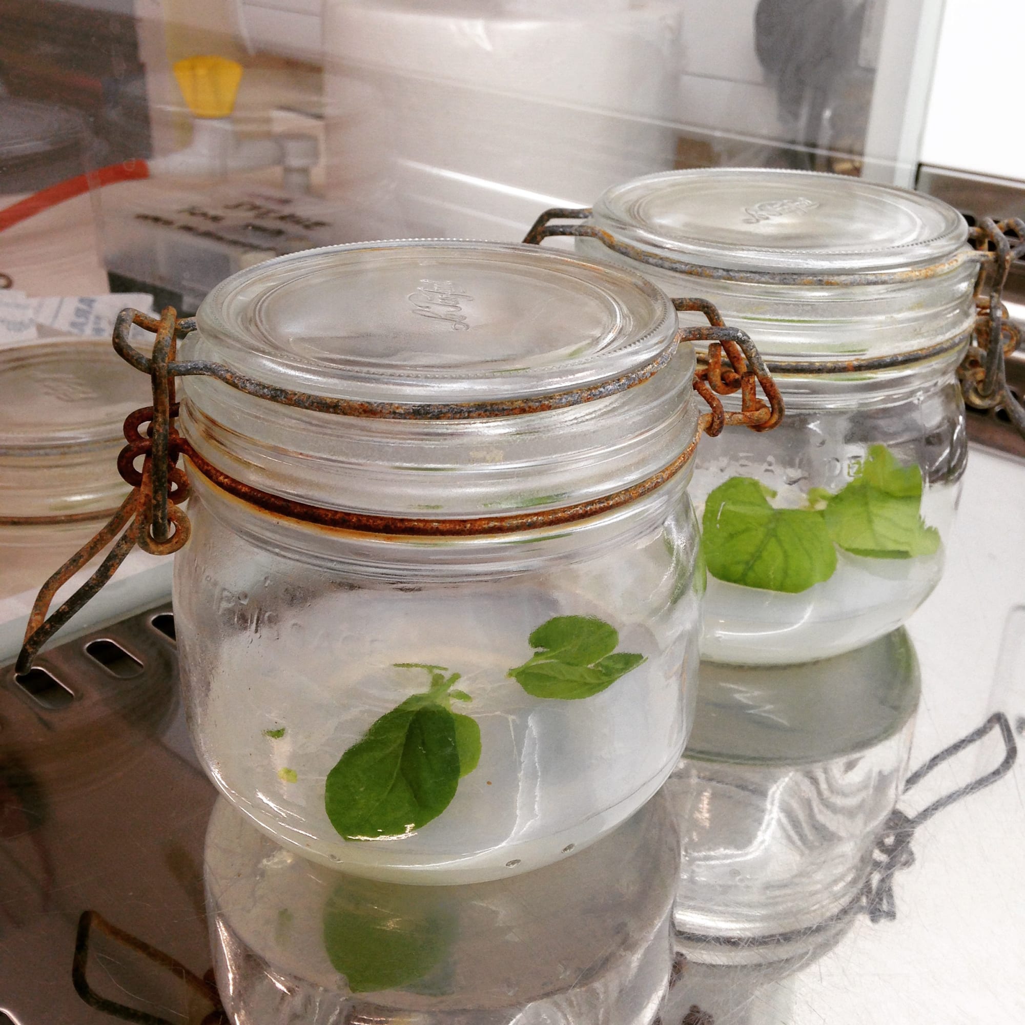 Royal Holloway University