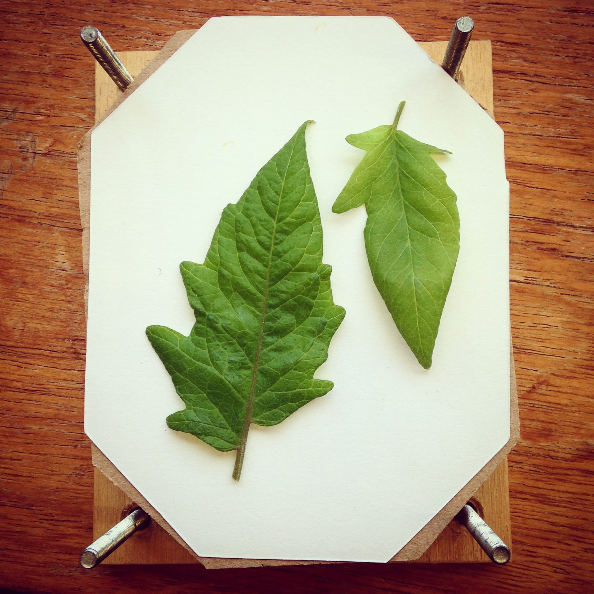 Royal Holloway University