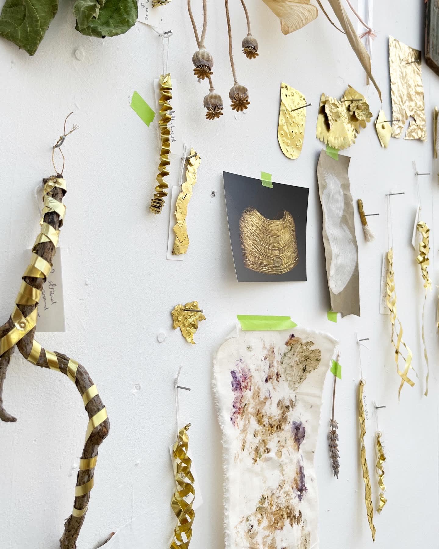 Ventnor Botanic Garden