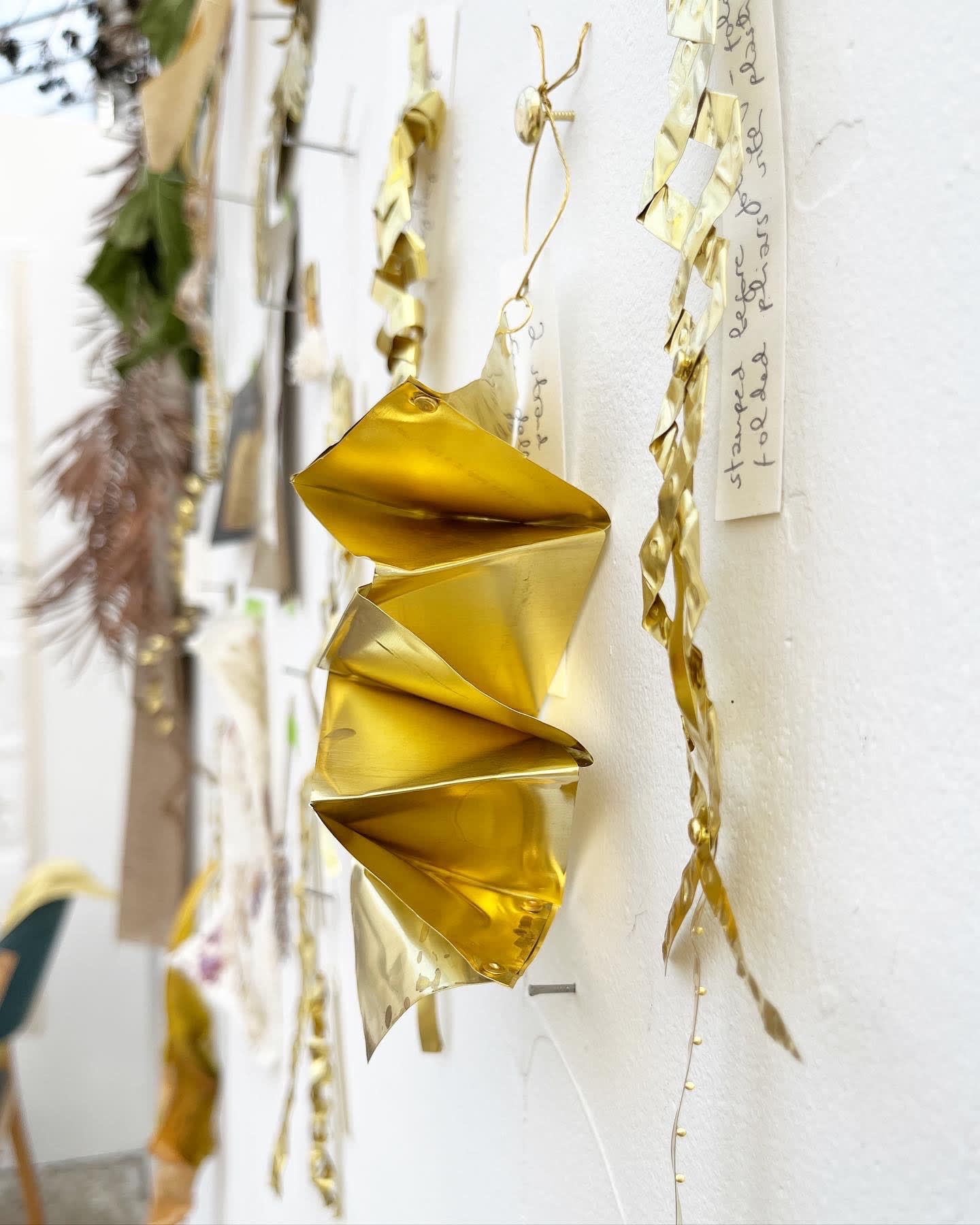 Ventnor Botanic Garden