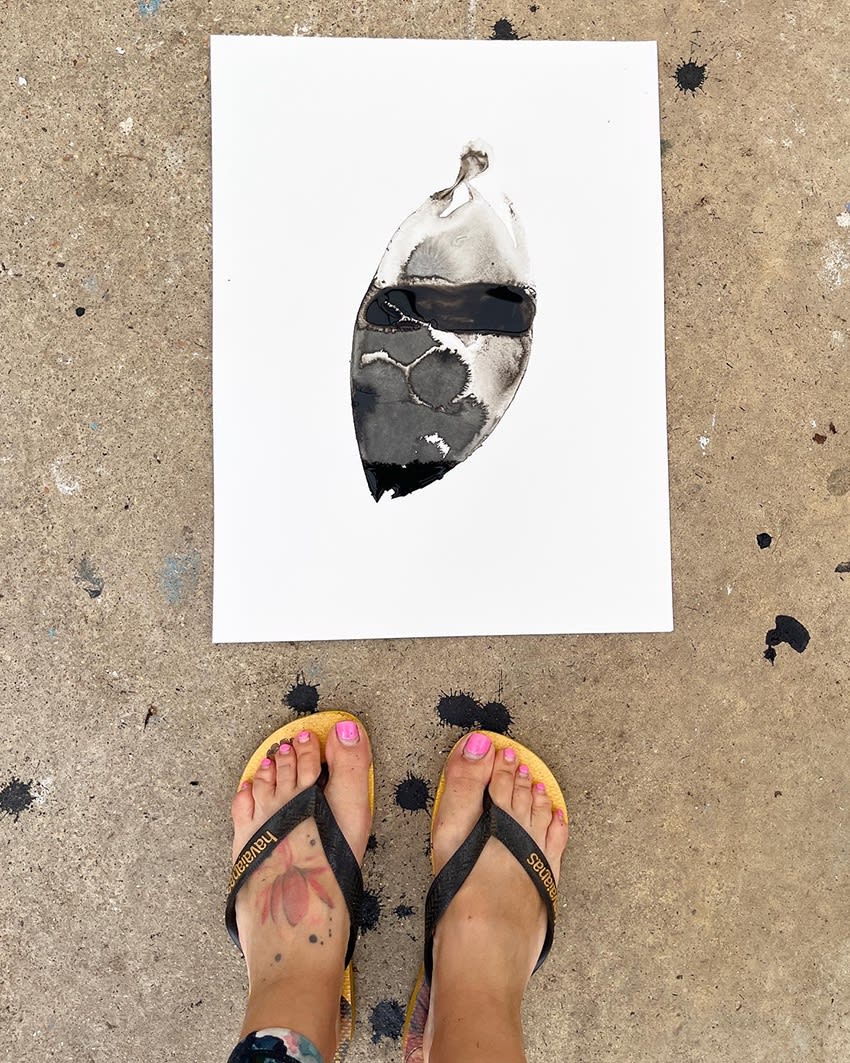 Ventnor Botanic Garden