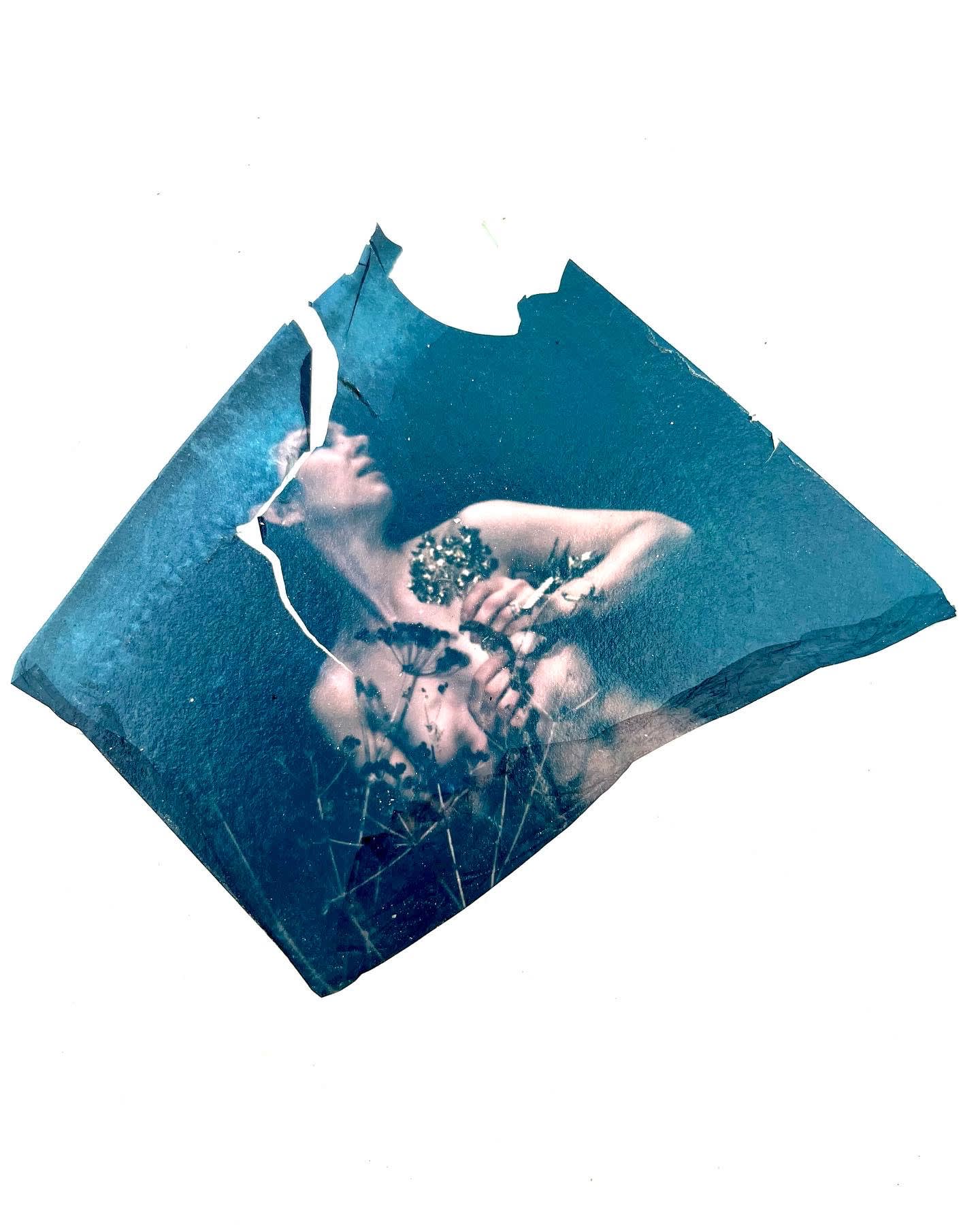 Ventnor Botanic Gardens