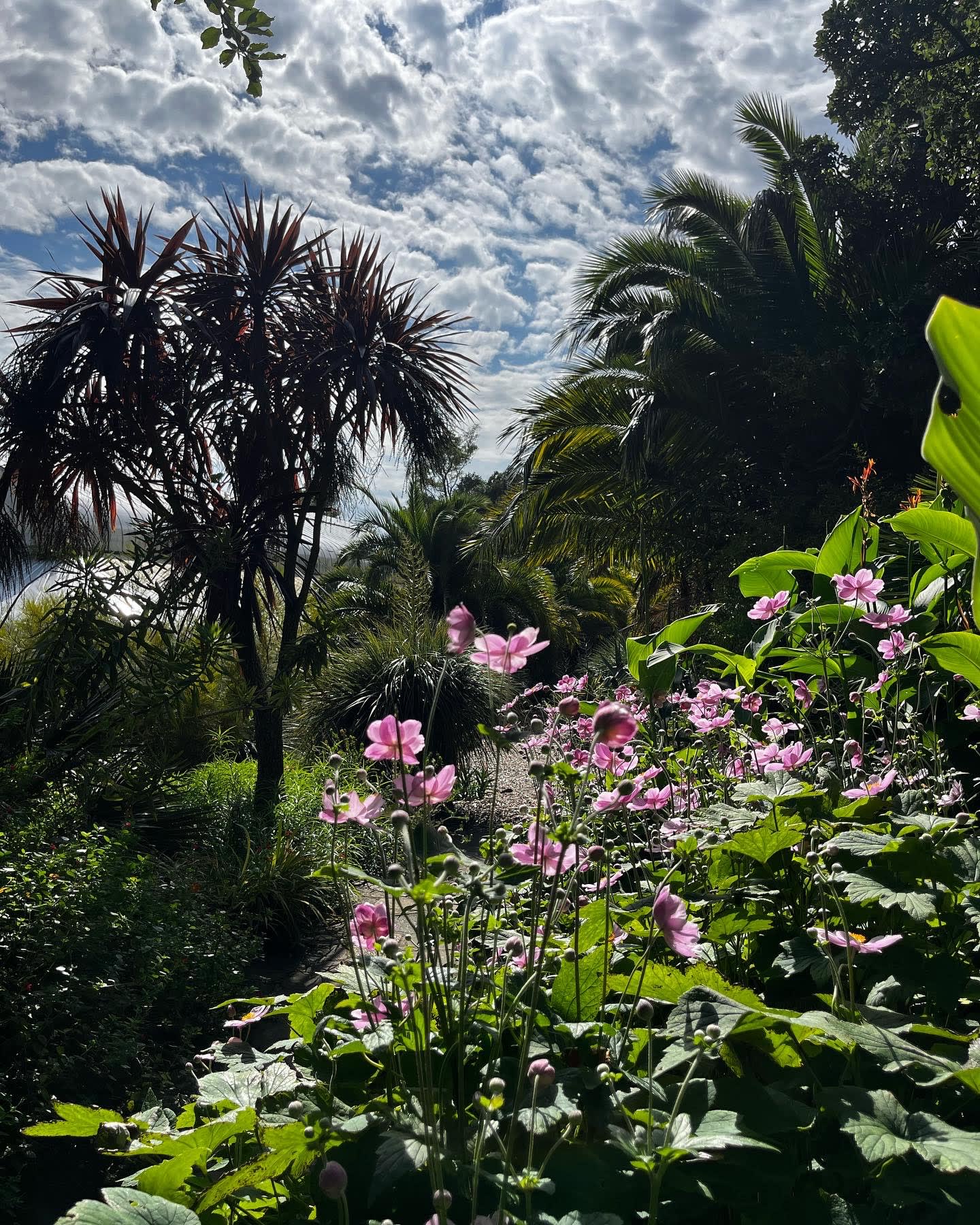 Ventnor Botanic Gardens