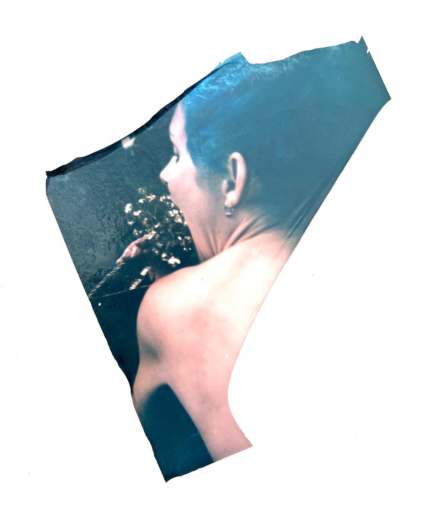 Ventnor Botanic Gardens