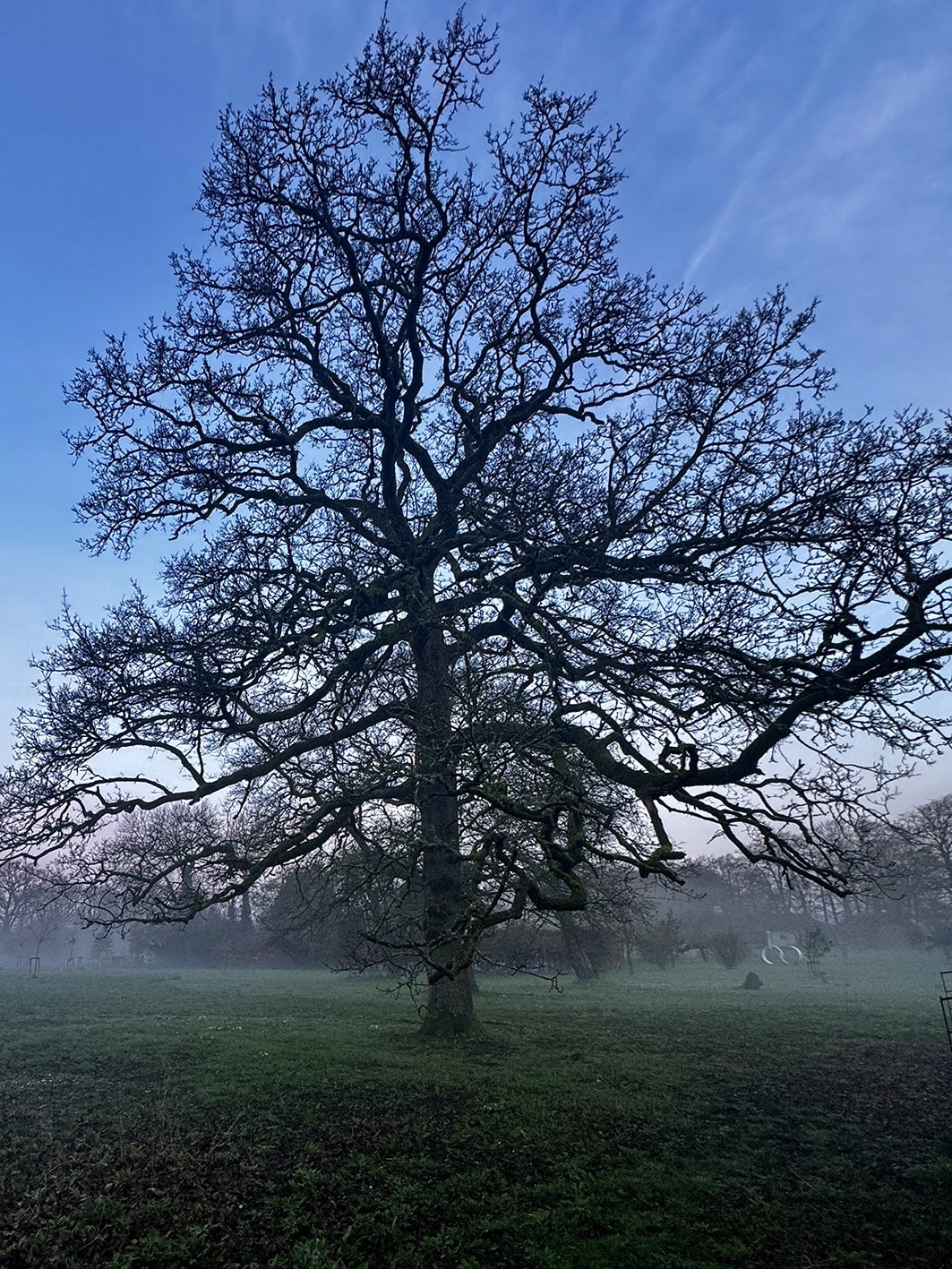 Xenia Creative Retreat