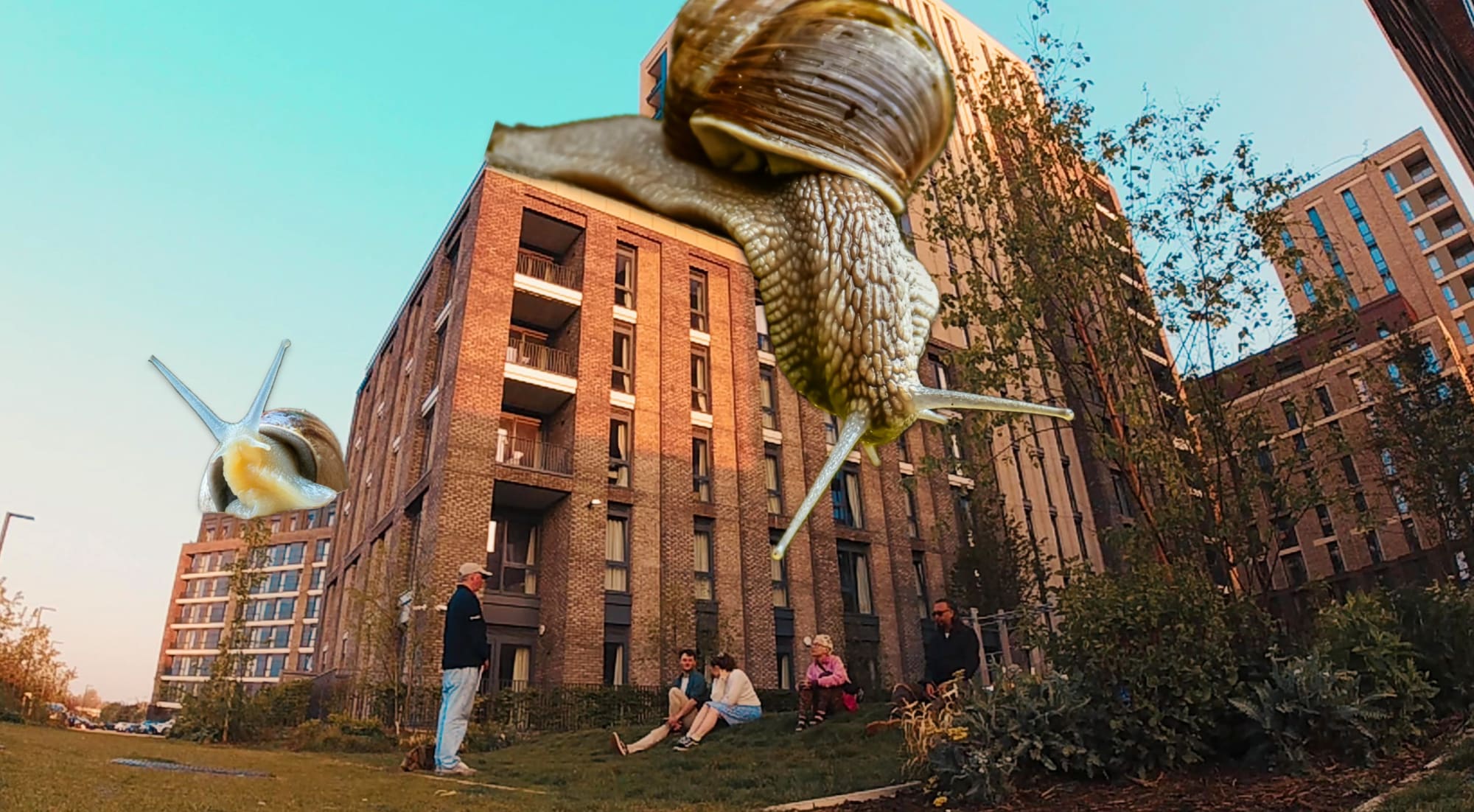WILD NEIGHBOURS