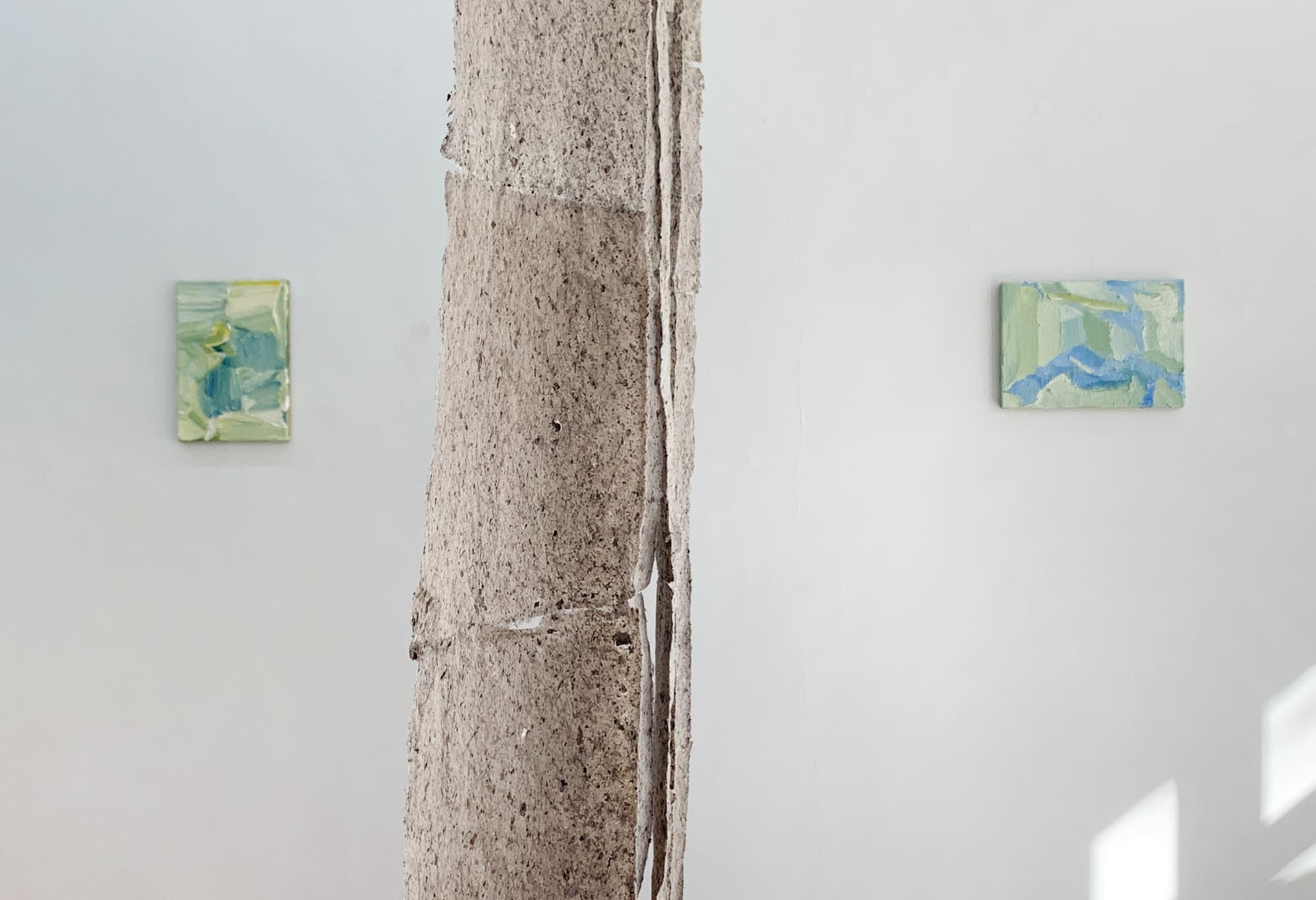 van Haaster, de Jong & Shibata