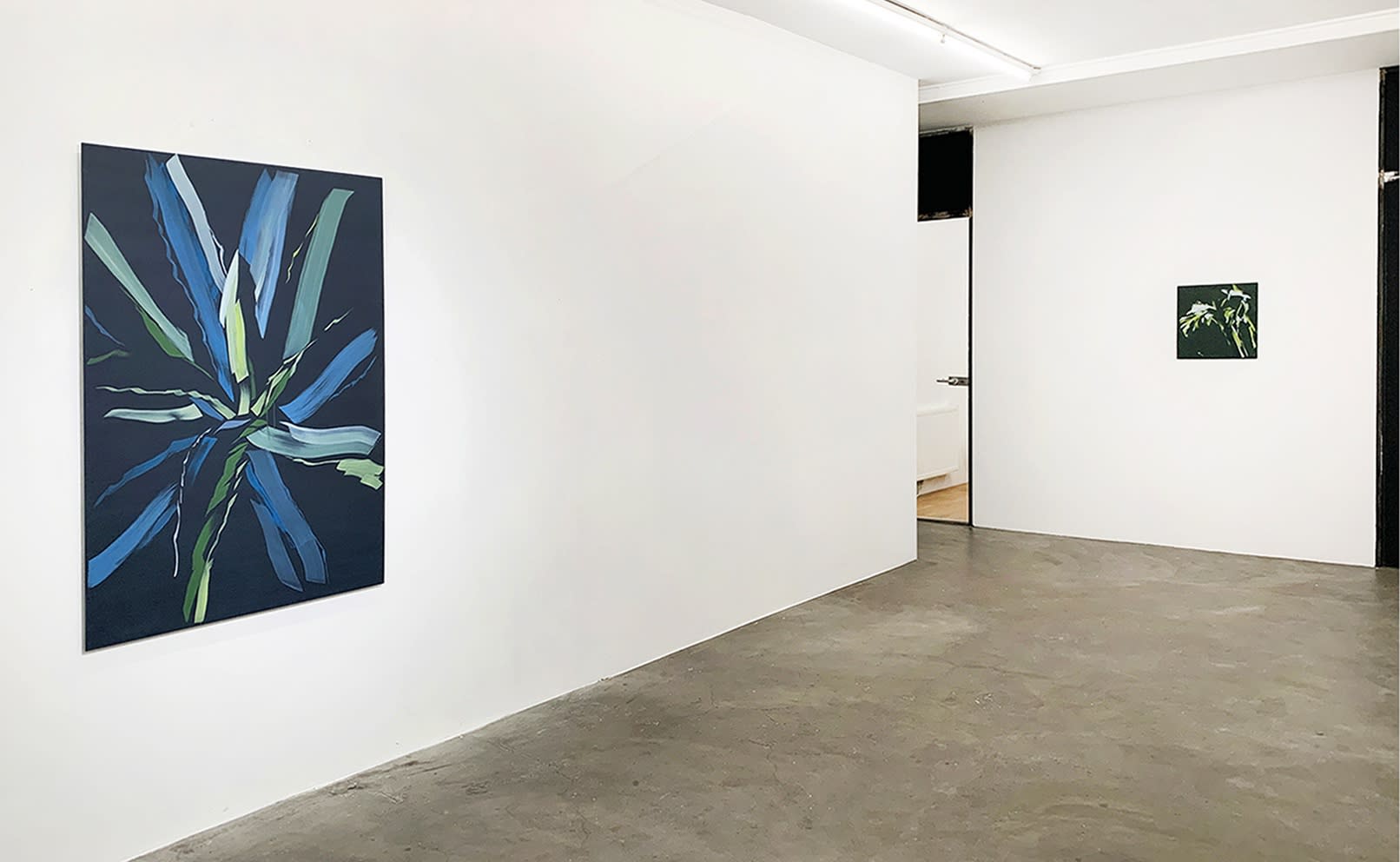 Johannesma, van Haaster, van Helmond, Horn, de Ridder, Rothman & Welten