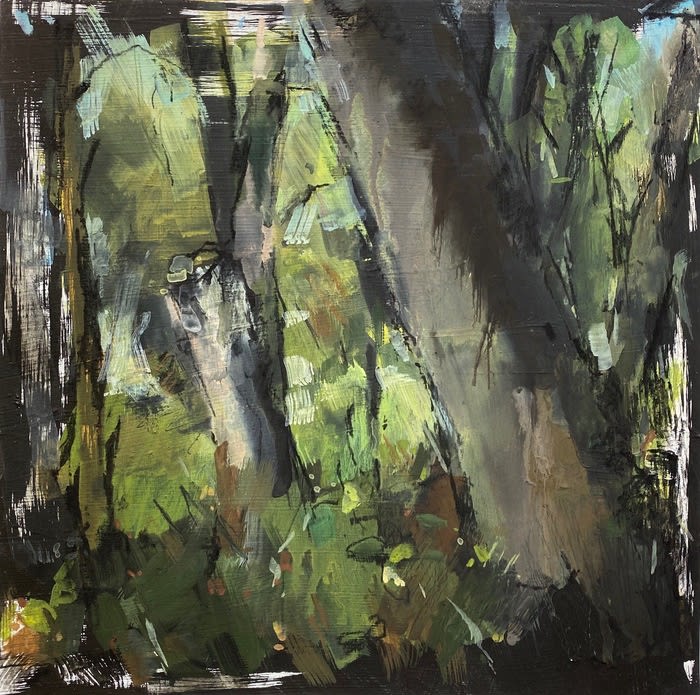 Bets Cole (Elmira) - Deep Woods, 2021