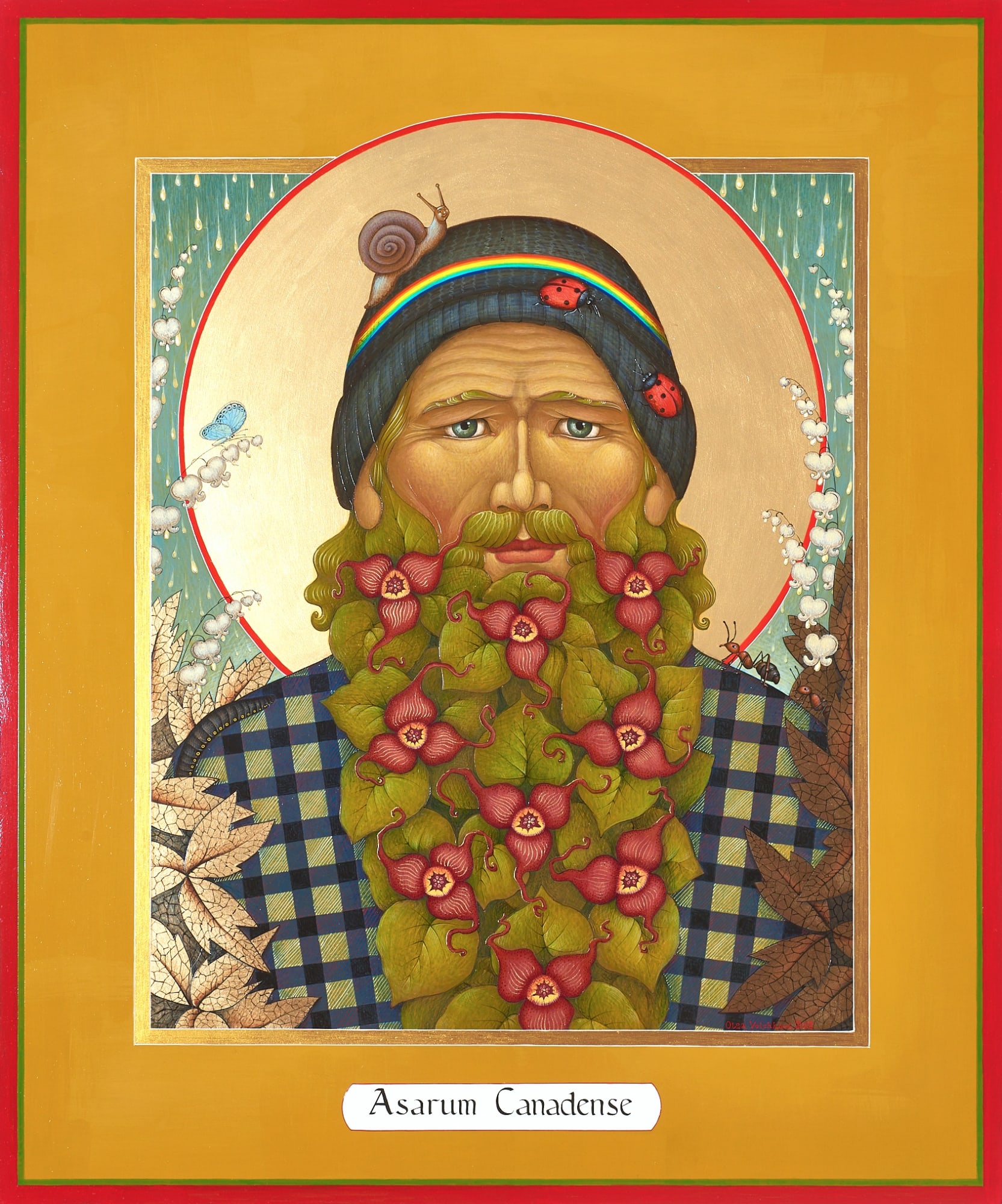 Saint Wild Ginger - 2018