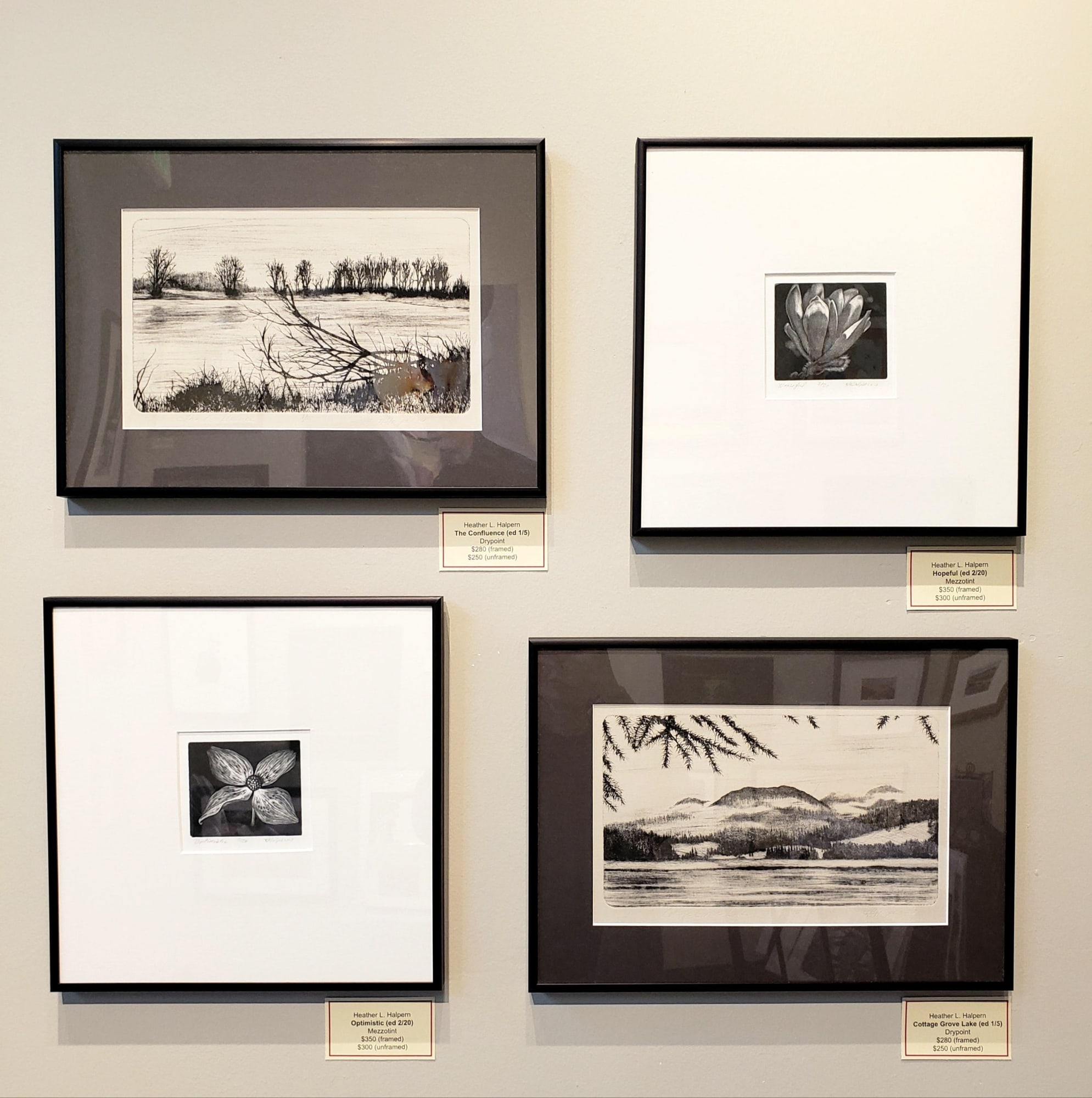 Printmaker Heather Halpern