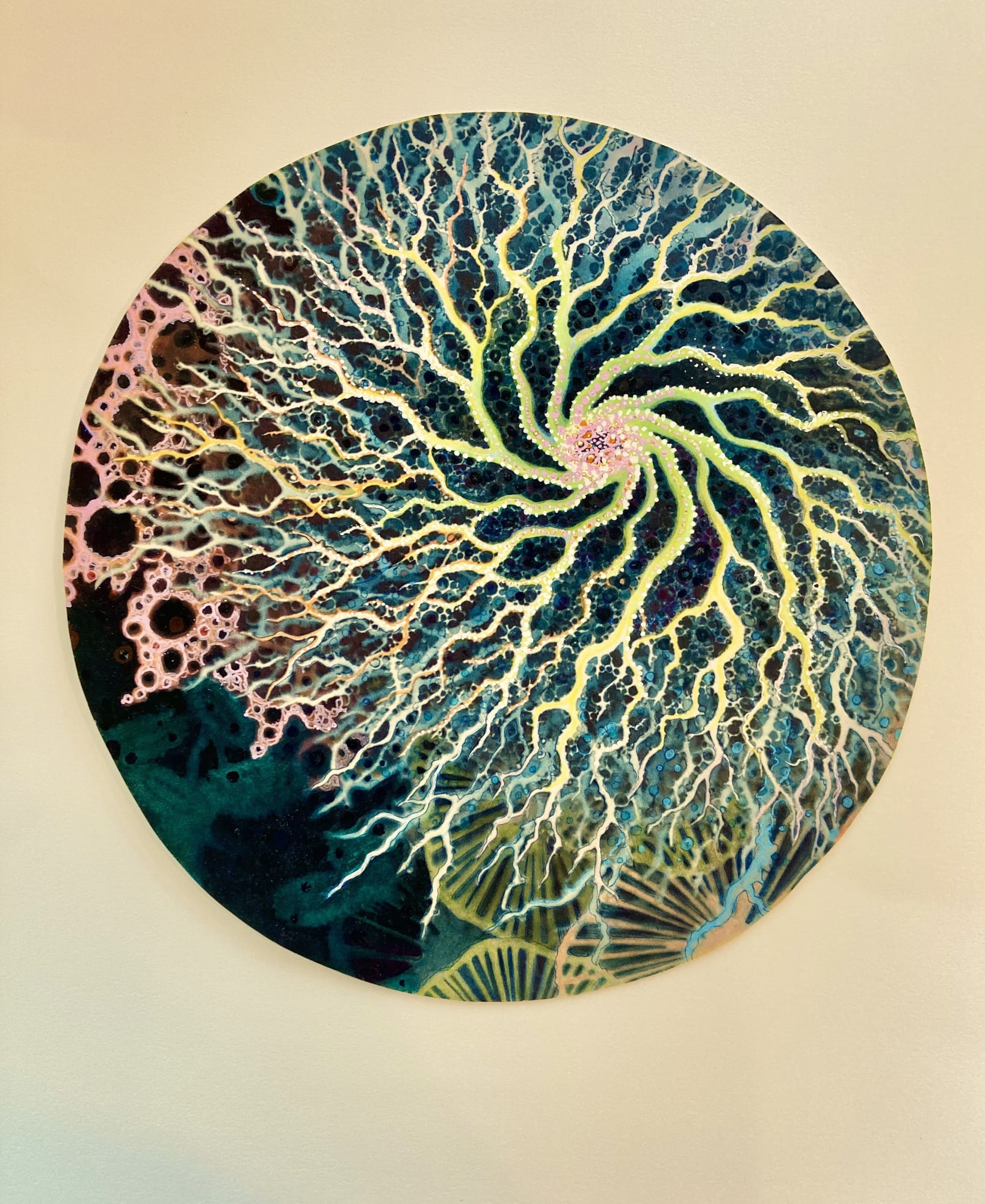 Tallmadge Doyle, Spirobranchus Giganteus