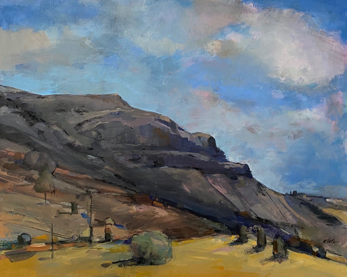 Bets Cole, Summer Lake Skies