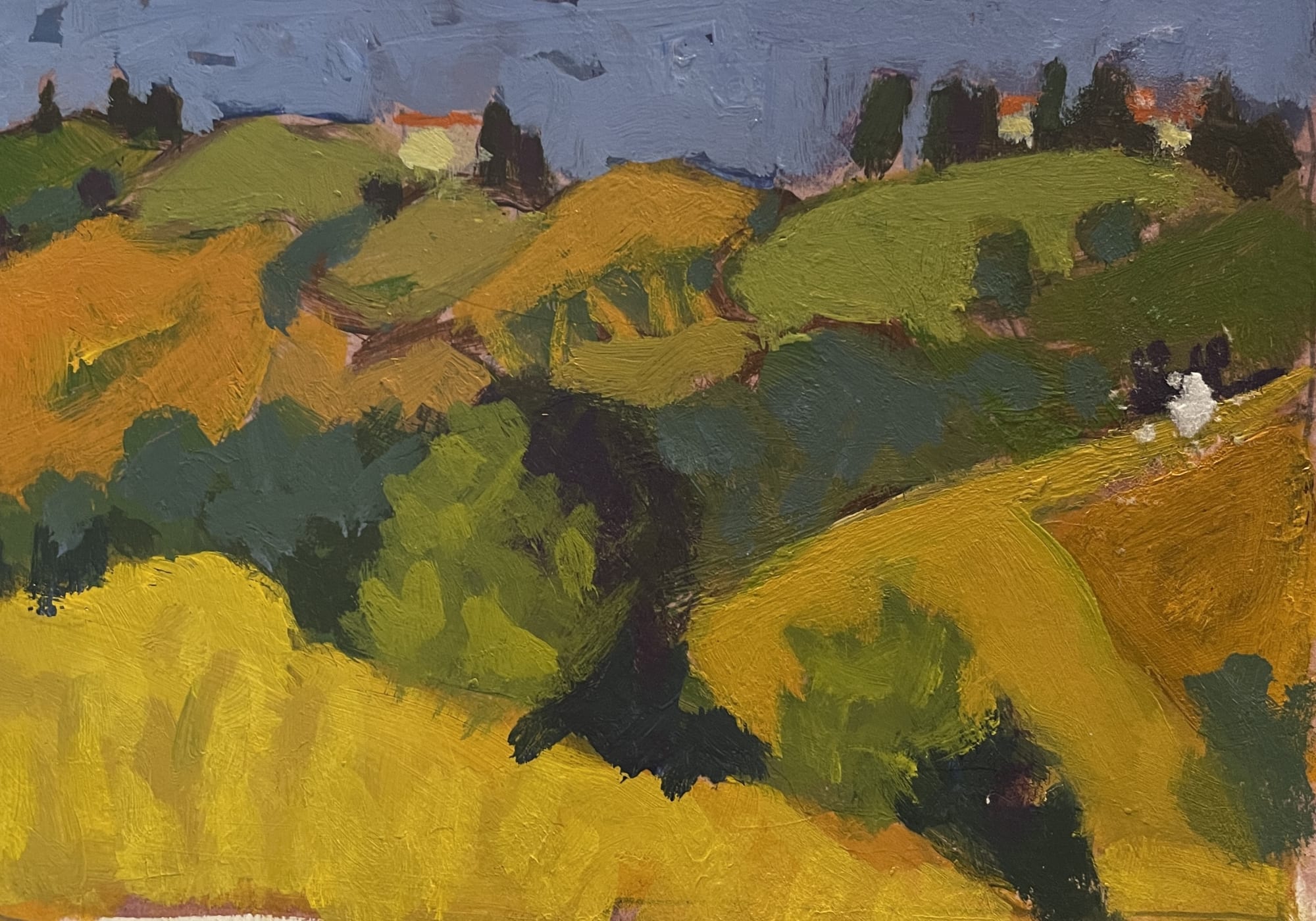 Robert Schlegel (1947-2021), Castelfiointina, Italy, Sept., 2006