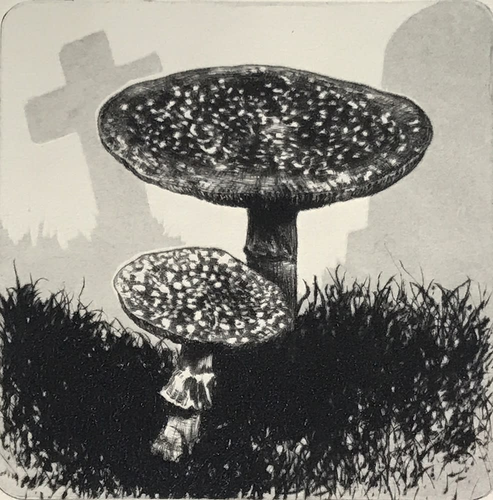 Heather Halpern, Spiritual Growth I [Amanitas]