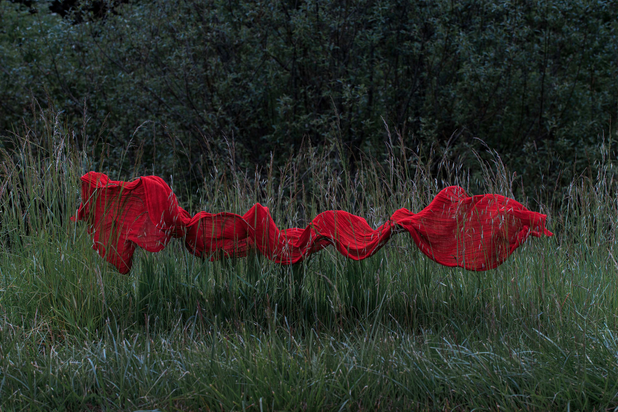 NAEEMEH NAEEMAEI, JAAN #1