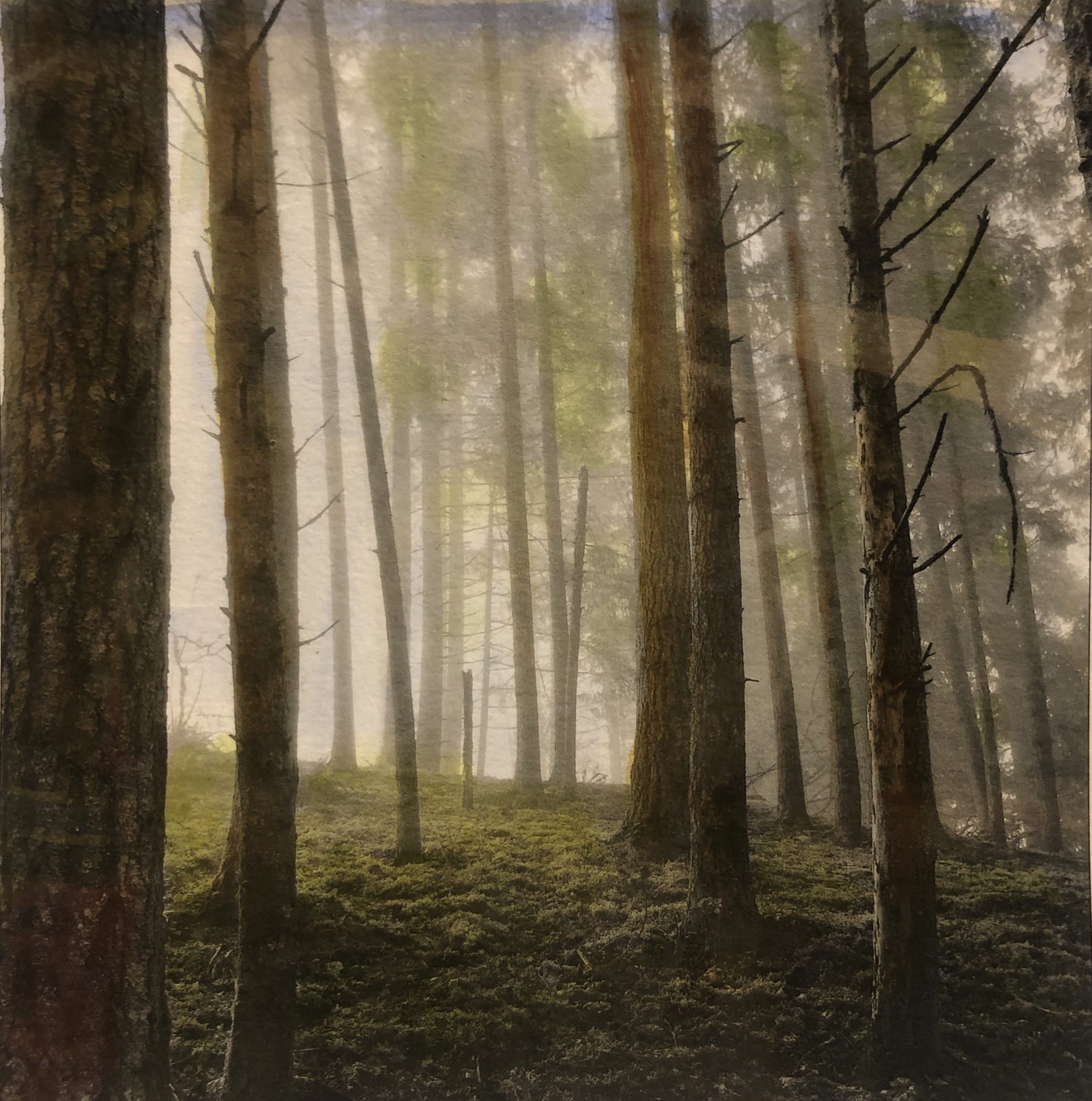 Bob Keefer, Morning, 2022