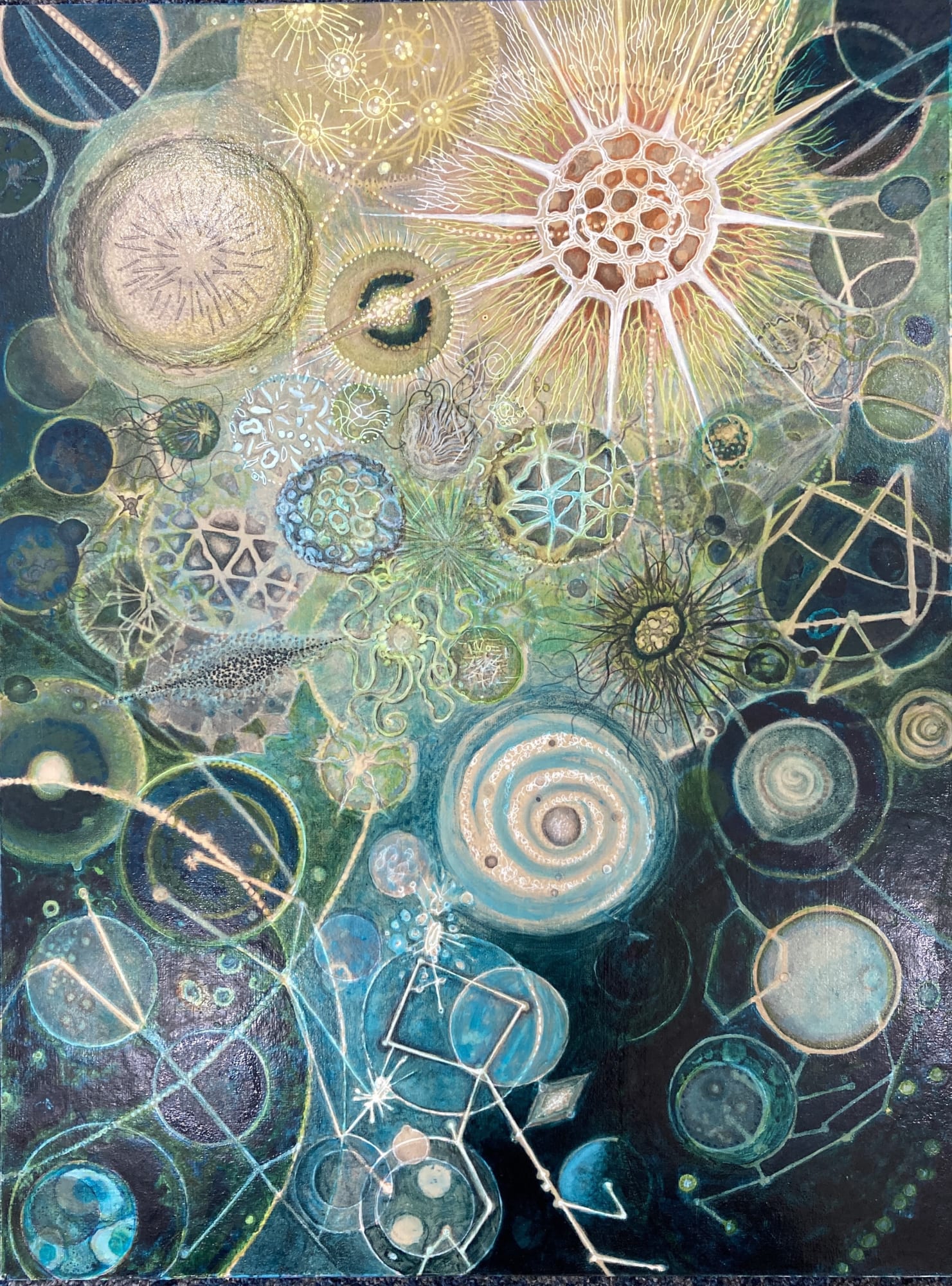 Tallmadge Doyle, Ocean Universe