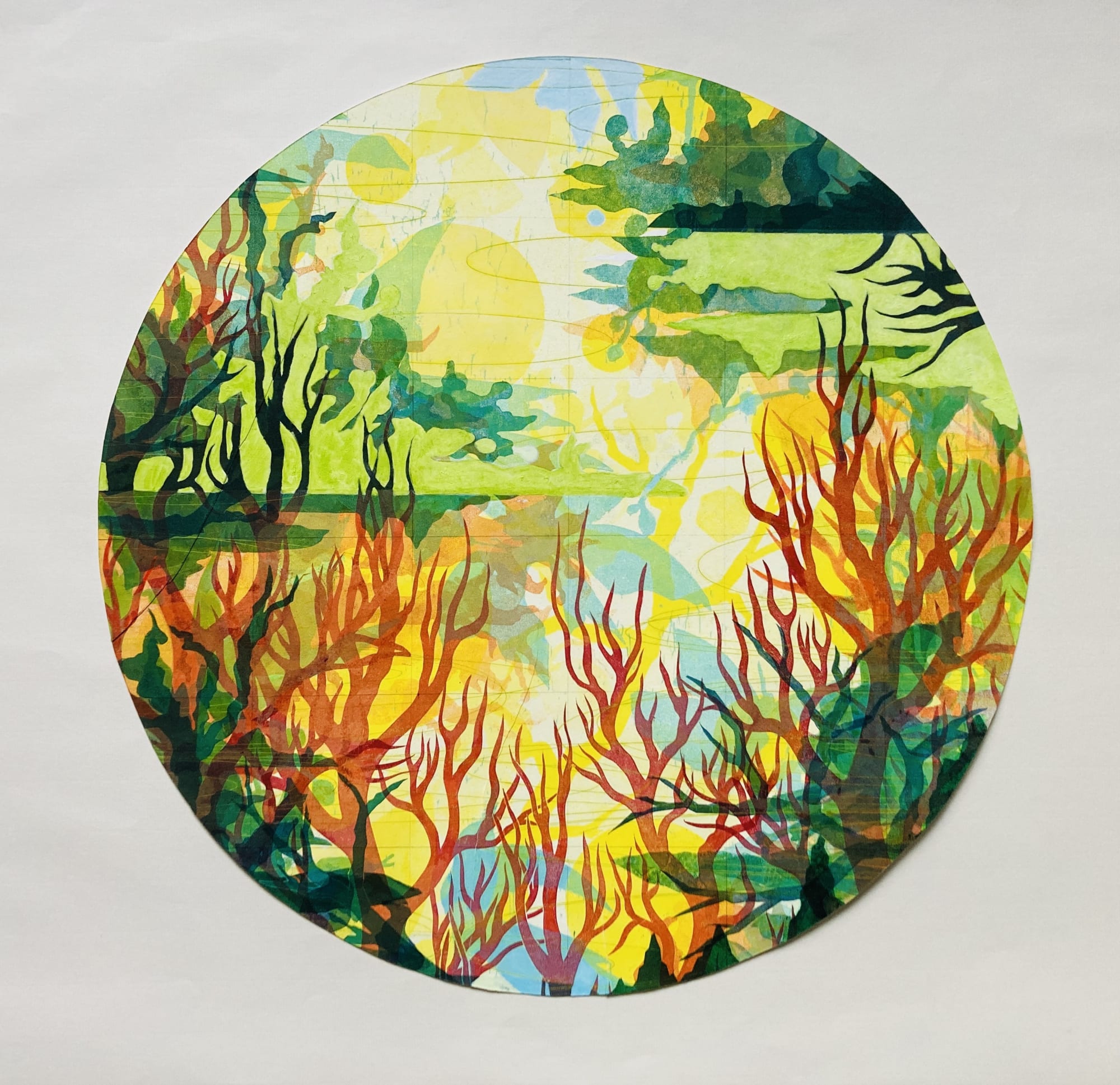 Tallmadge Doyle, Underwater Garden, Summer Lake