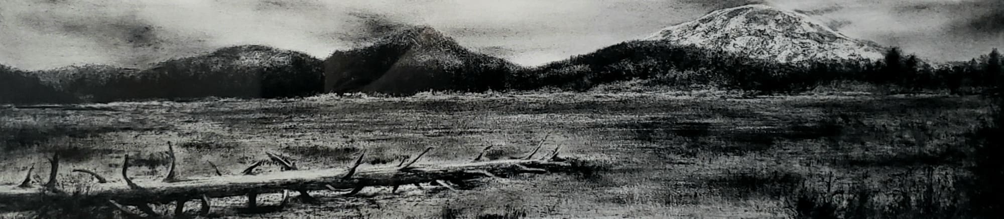 Heather Halpern, Deschutes Marsh