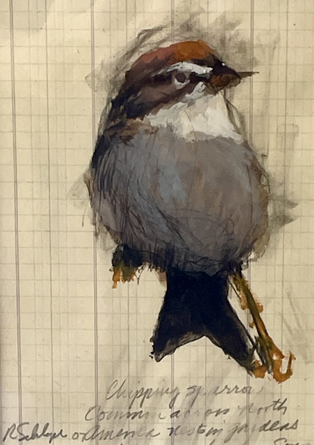 Robert Schlegel (1947-2021), Chipping Sparrow, 2007