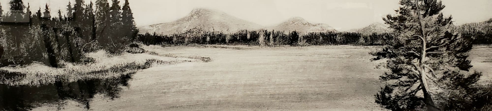 Heather Halpern, Deschutes Forest Expanse