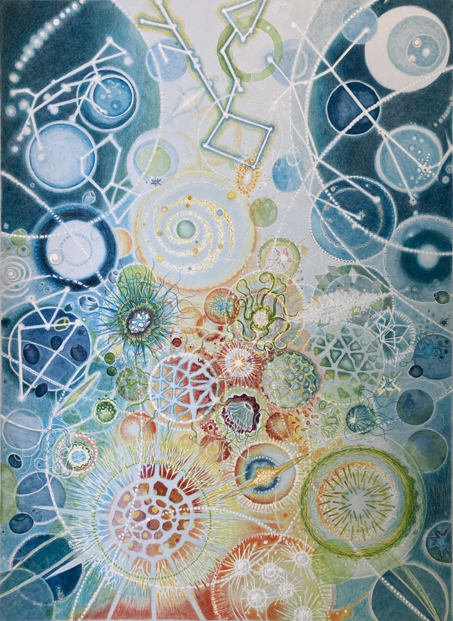 Tallmadge Doyle, Celestil Ocean VI