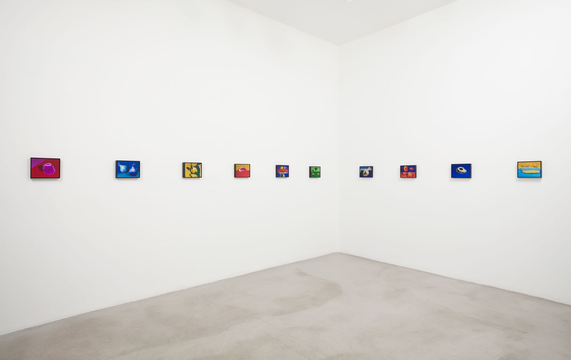 Installation view of Daniel Gordon: The Green Line at M+B, 2013