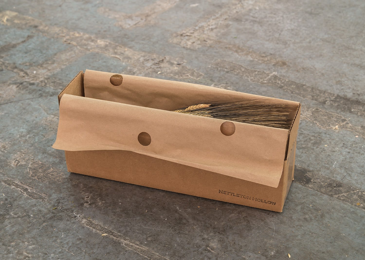 The Armory Show 2015