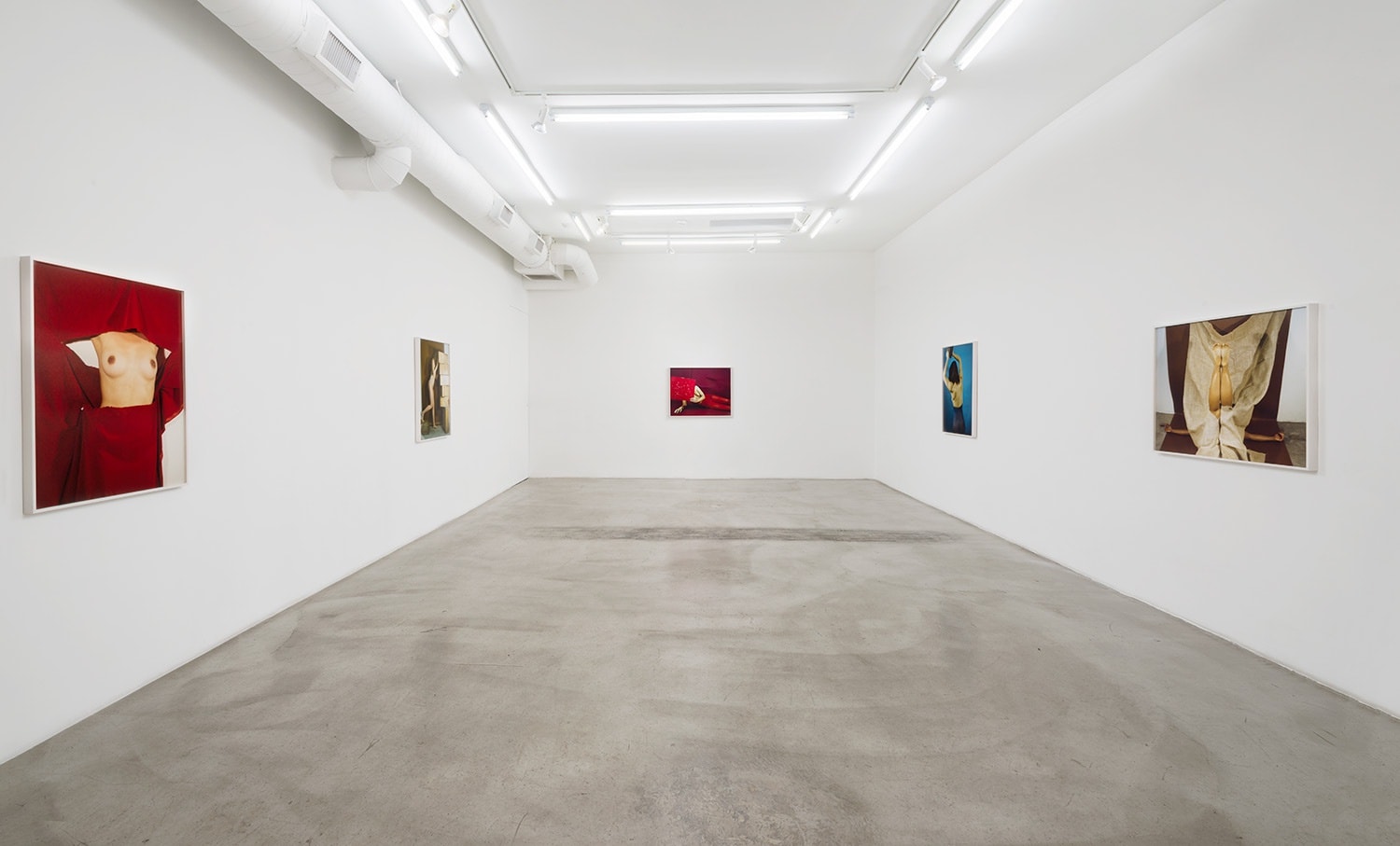 Installation view of Whitney Hubbs: Body Doubles at M+B, 2016