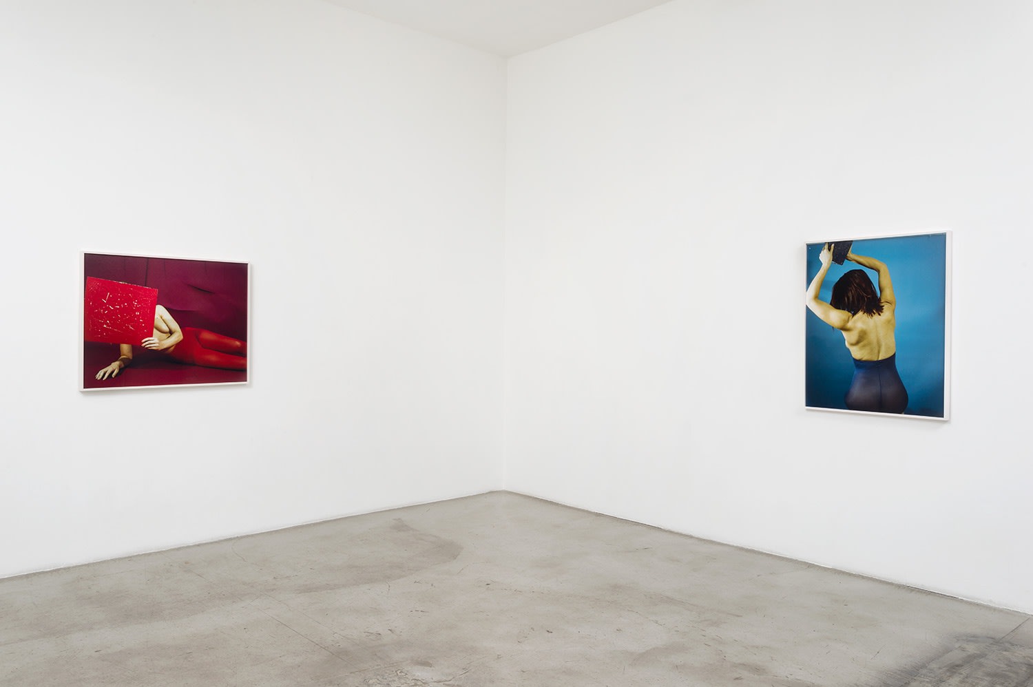 Installation view of Whitney Hubbs: Body Doubles at M+B, 2016