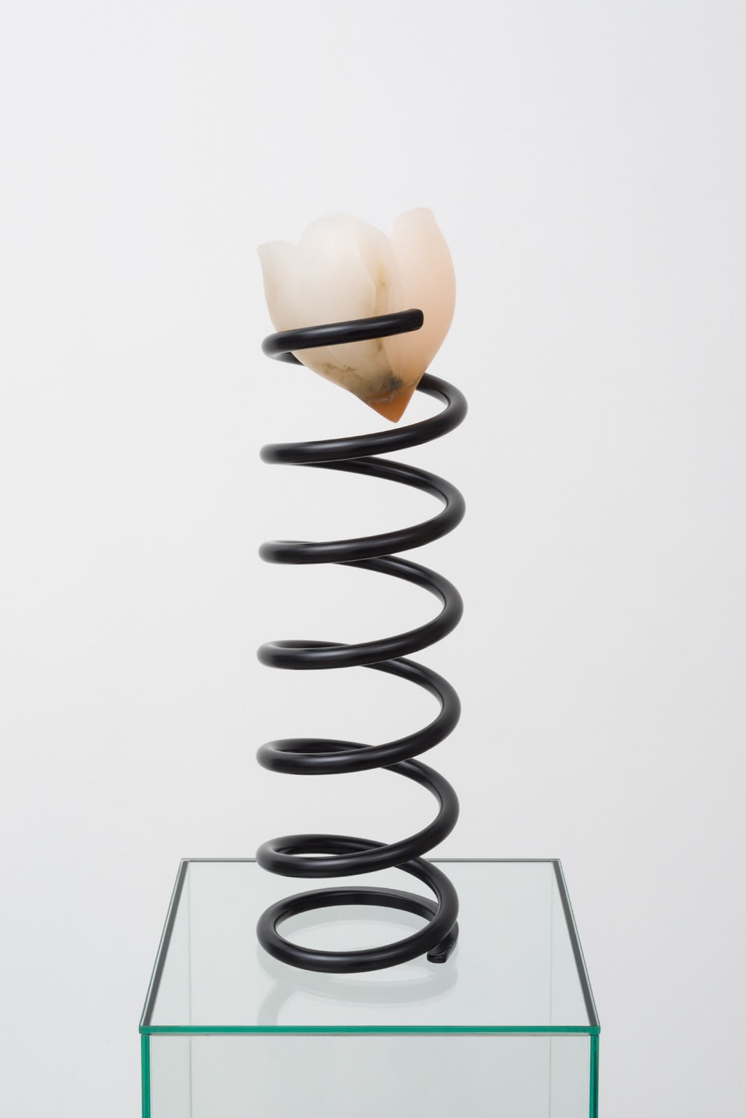 Nevine Mahmoud Auto Body Part I, 2017