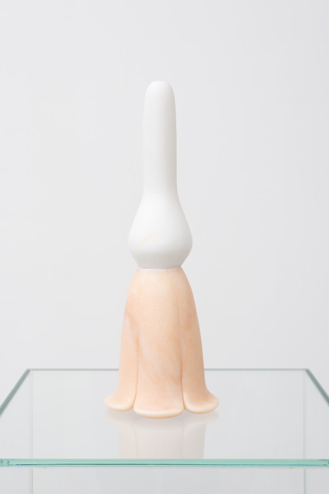 Nevine Mahmoud Toy Flower, 2017