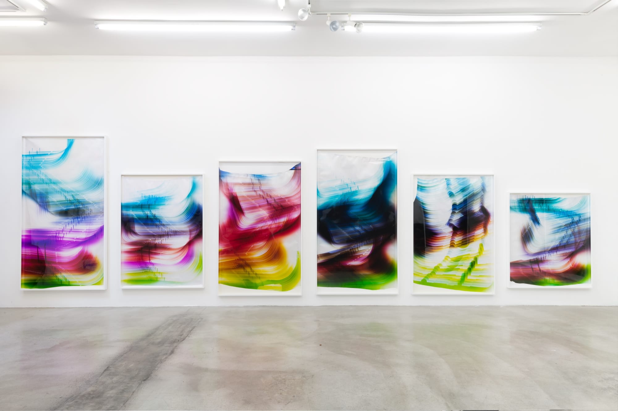 Installation view of Mariah Robertson: The Hydra at M+B, 2018