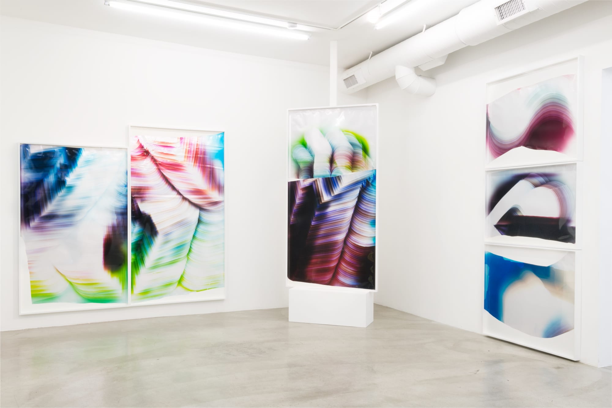 Installation view of Mariah Robertson: The Hydra at M+B, 2018