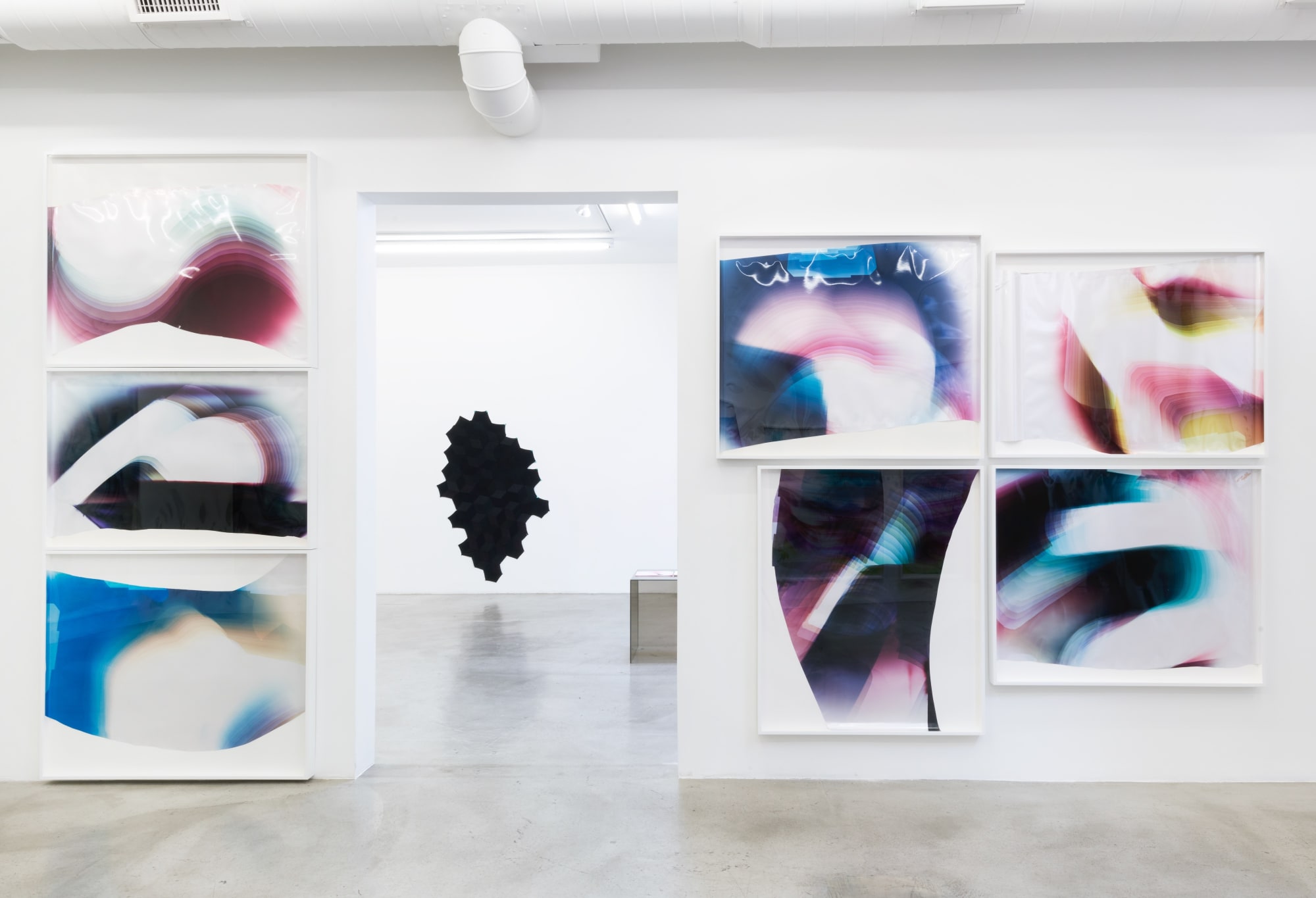 Installation view of Mariah Robertson: The Hydra at M+B, 2018
