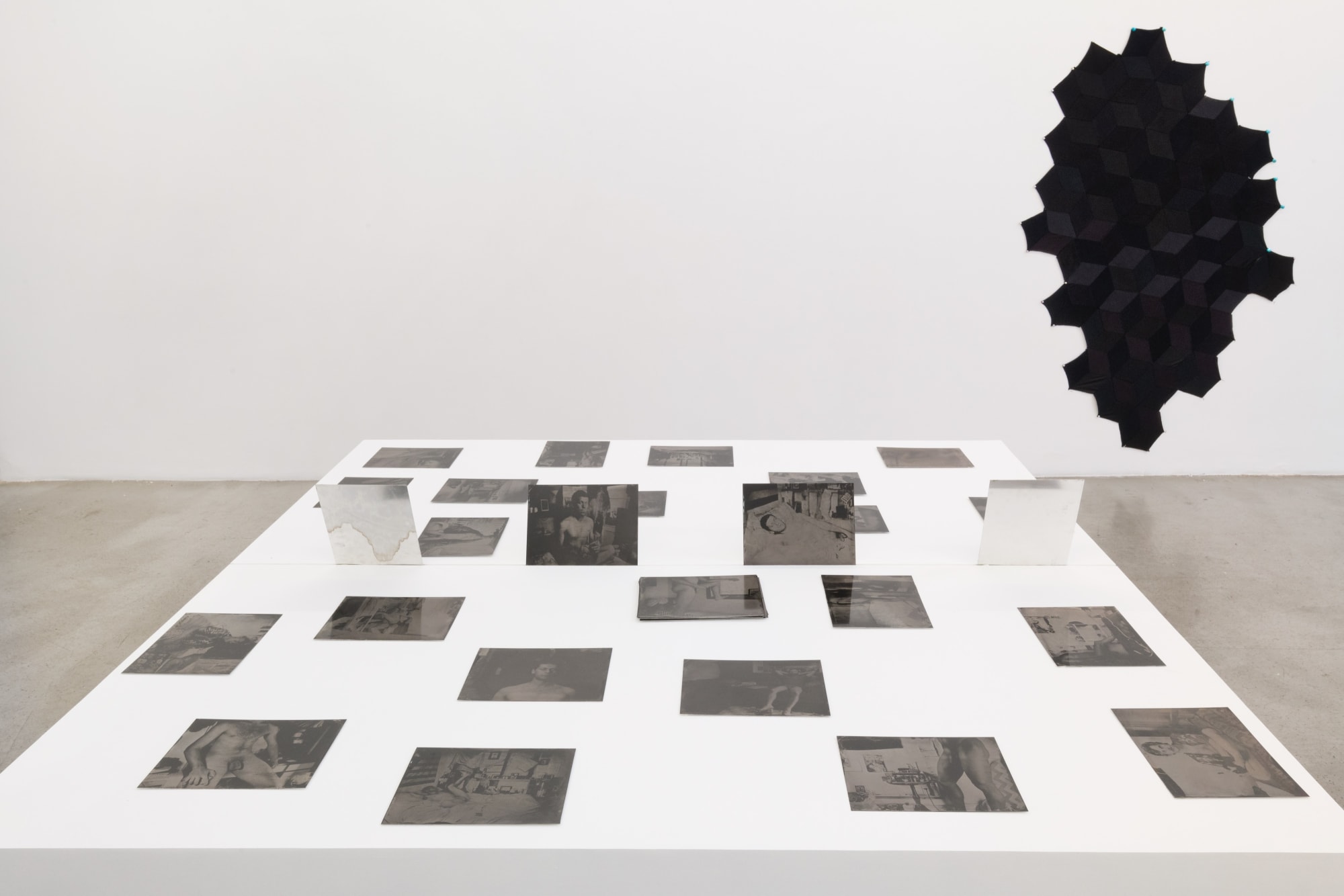 Installation view of Mariah Robertson: The Hydra at M+B, 2018