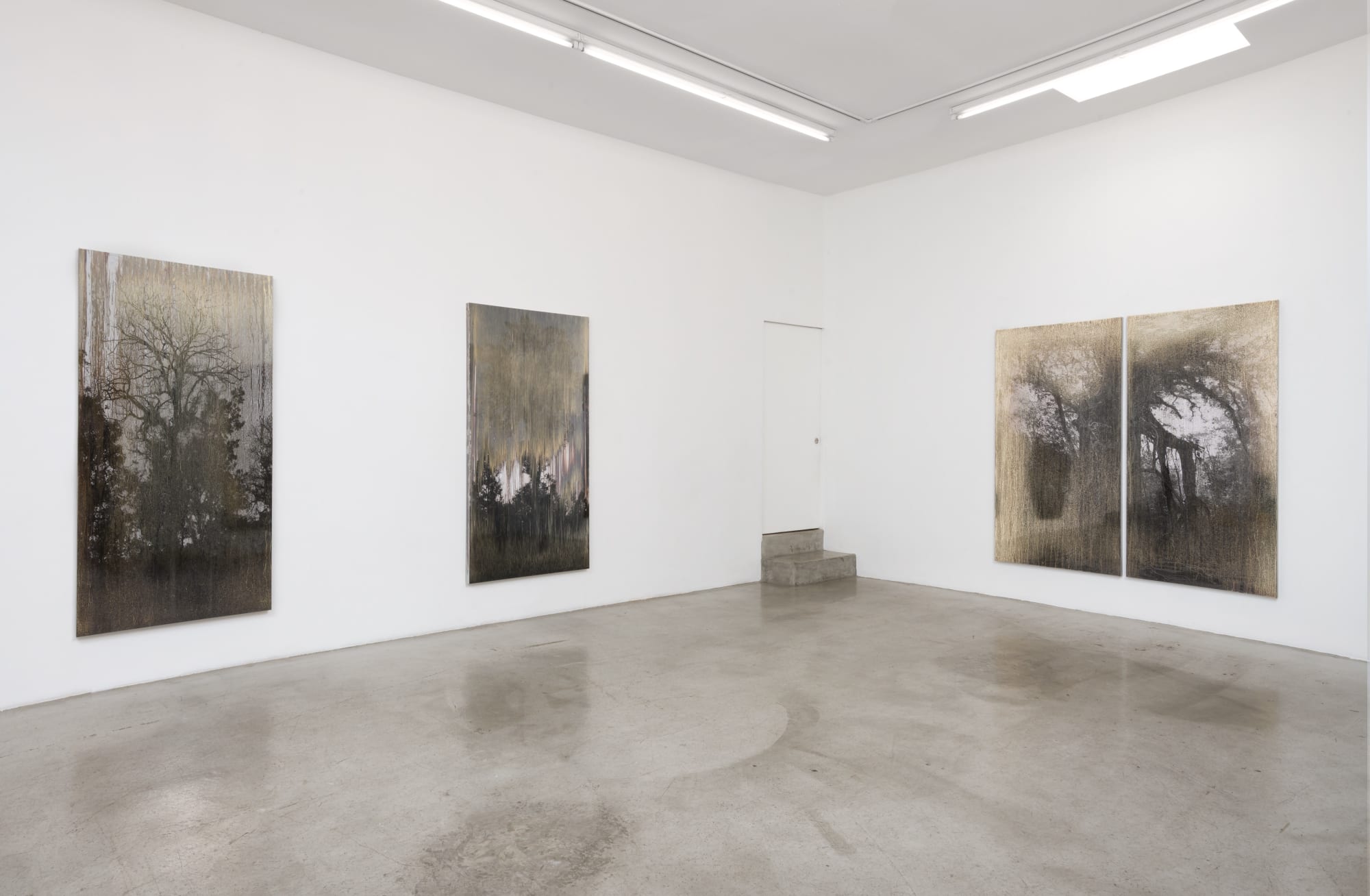 Matthew Brandt, AgX.Hb