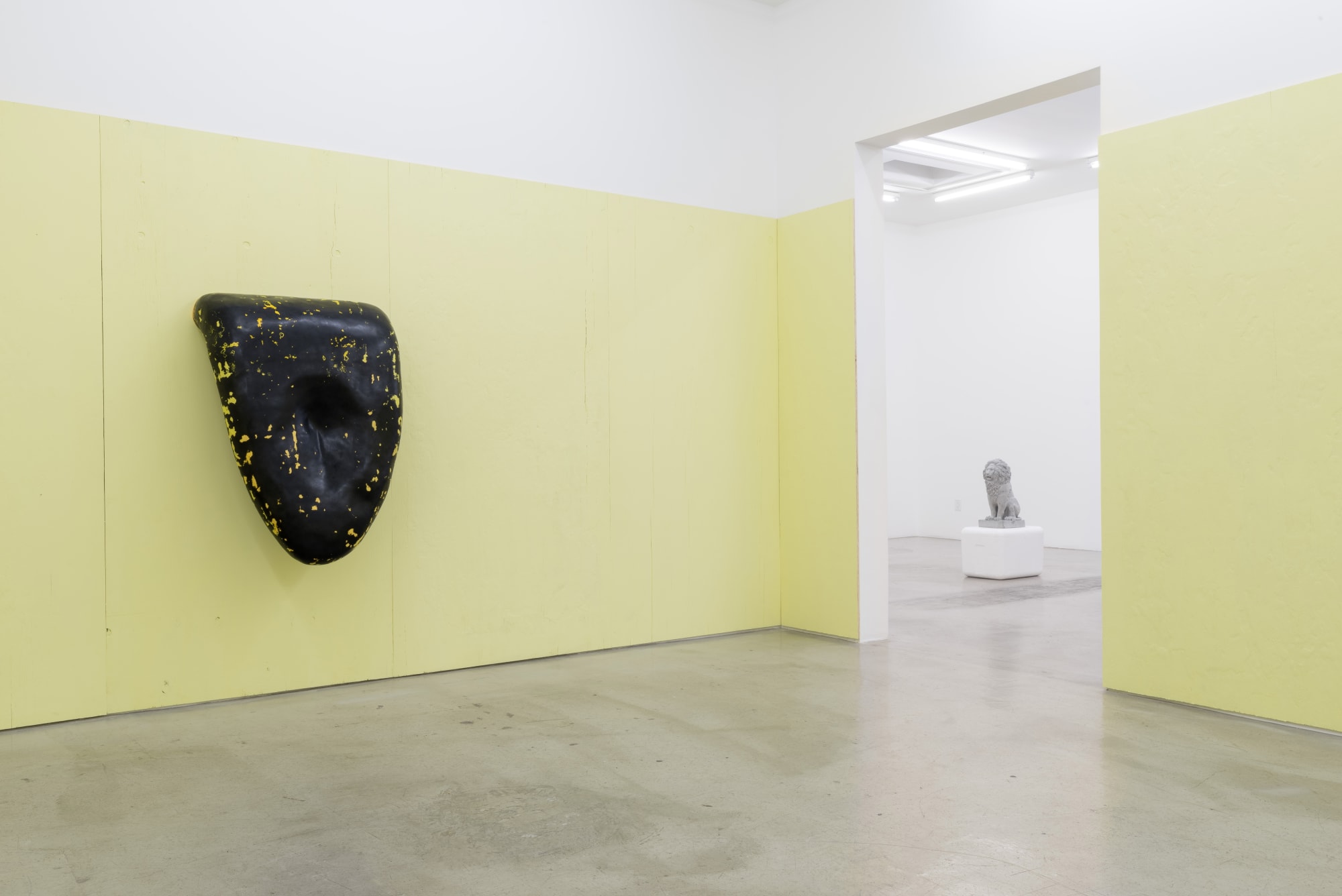 Daniel Boccato and Loup Sarion