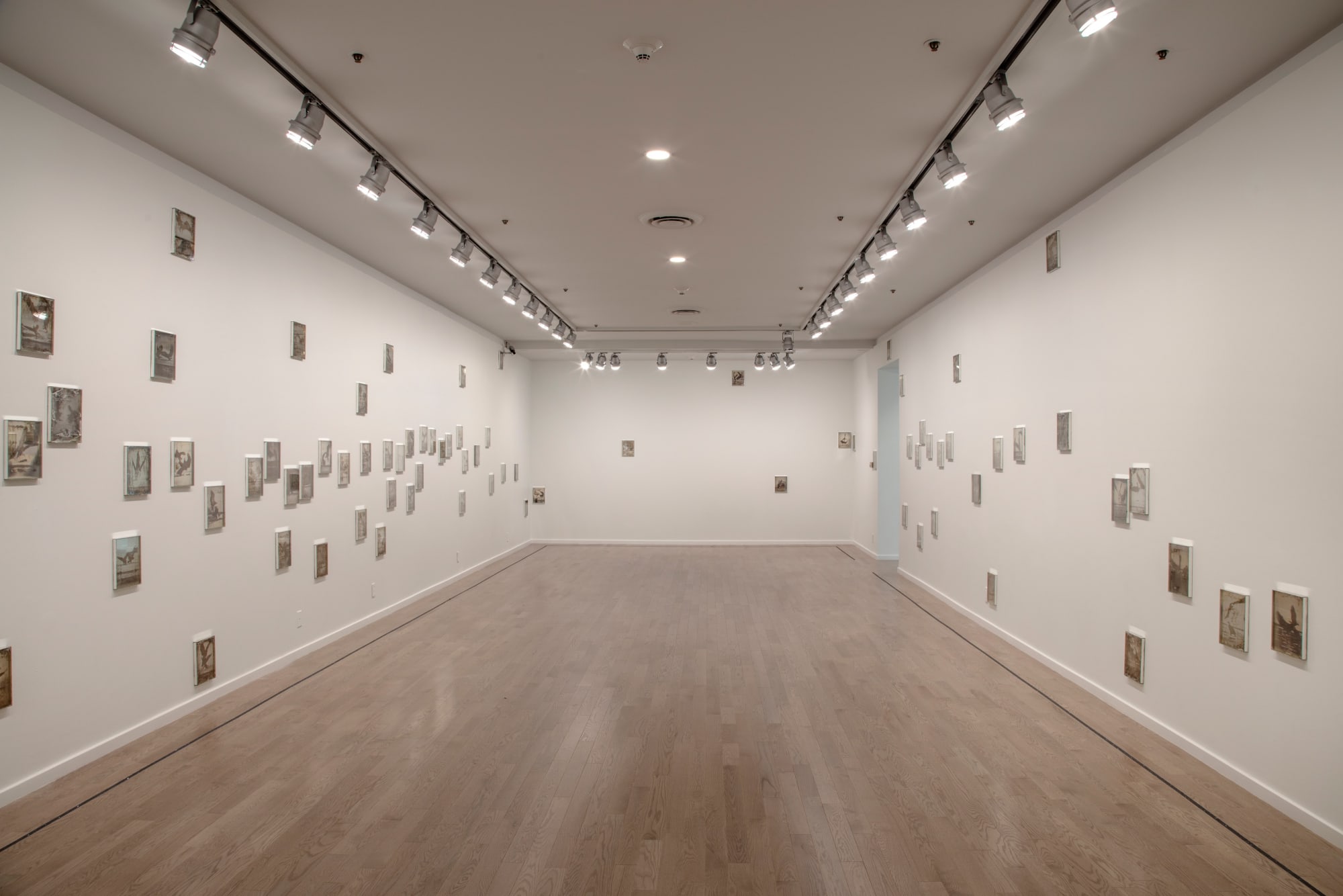 Matthew Brandt: Rocks and Eagles at Newark Museum, NJ, 2019