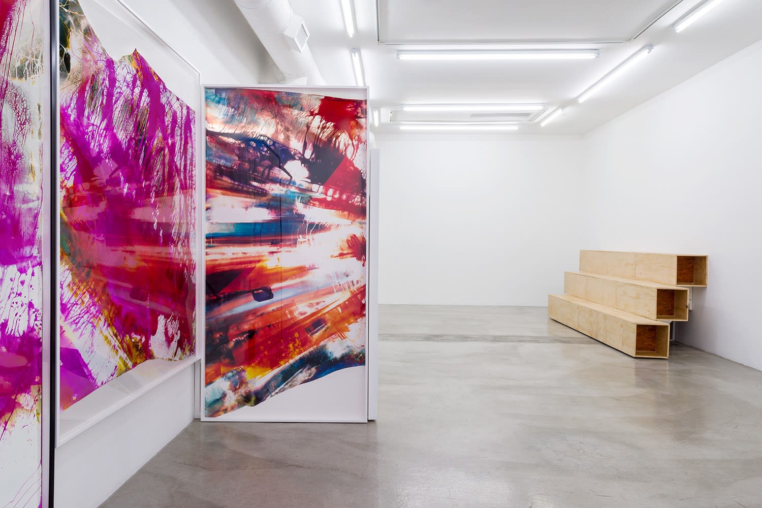 Installation view of Mariah Robertson: Photography Lovers' Peninsula at M+B, 2015