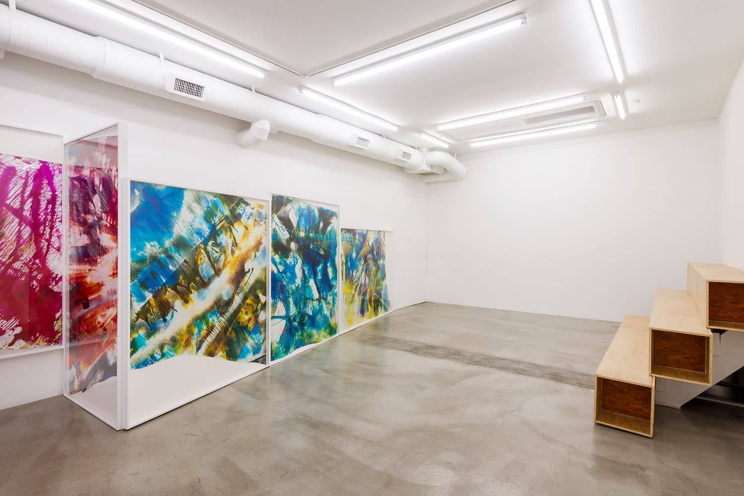 Installation view of Mariah Robertson: Photography Lovers' Peninsula at M+B, 2015