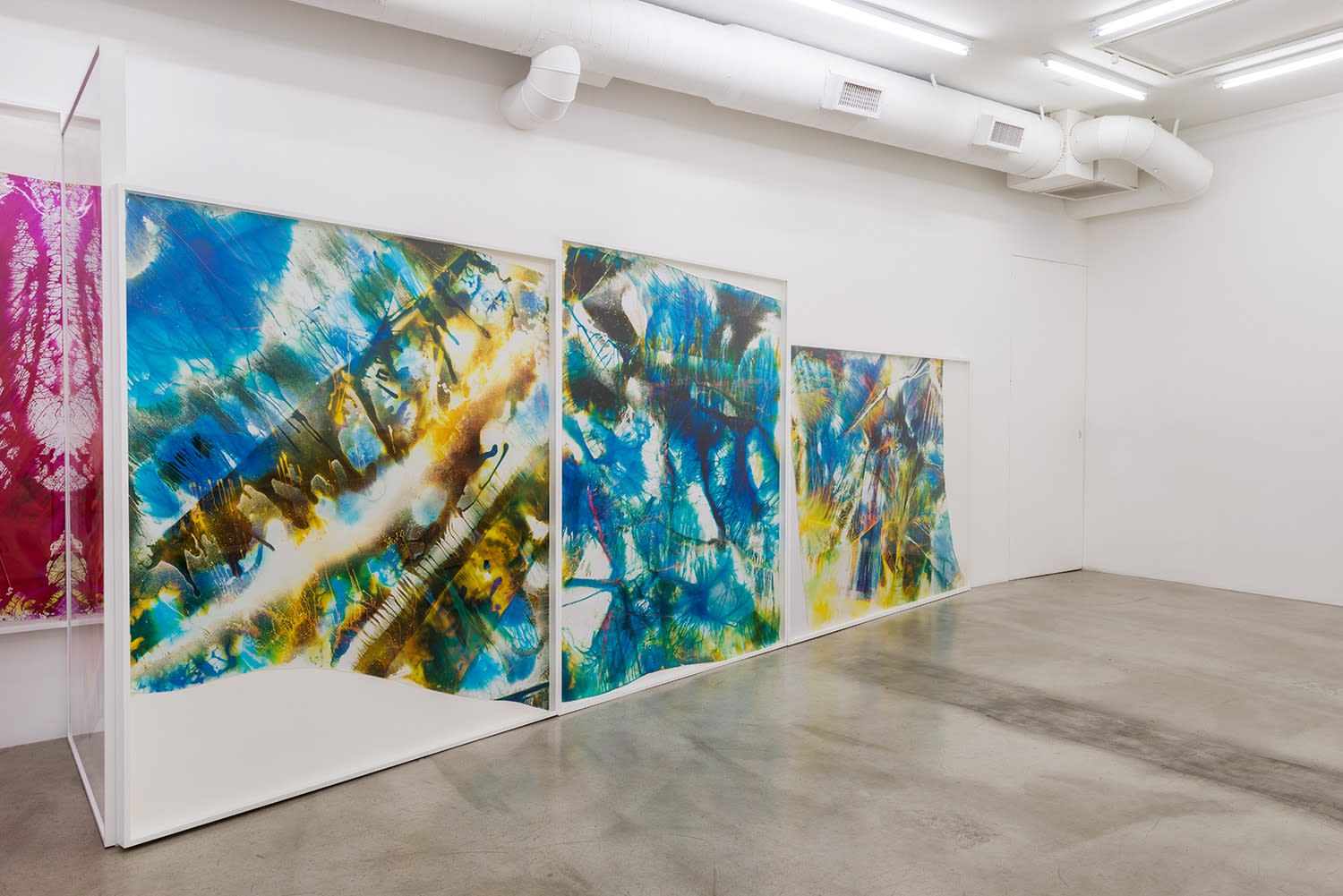 Installation view of Mariah Robertson: Photography Lovers' Peninsula at M+B, 2015