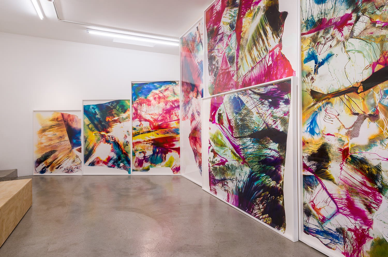 Installation view of Mariah Robertson: Photography Lovers' Peninsula at M+B, 2015
