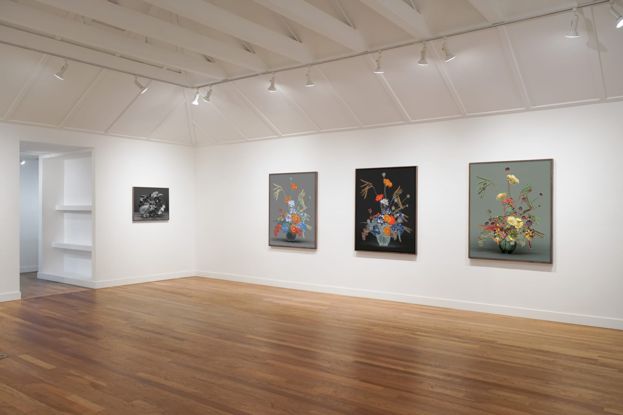 Installation view of Jessica Eaton: Mariphasa lupina lumina at M+B, Los Angeles