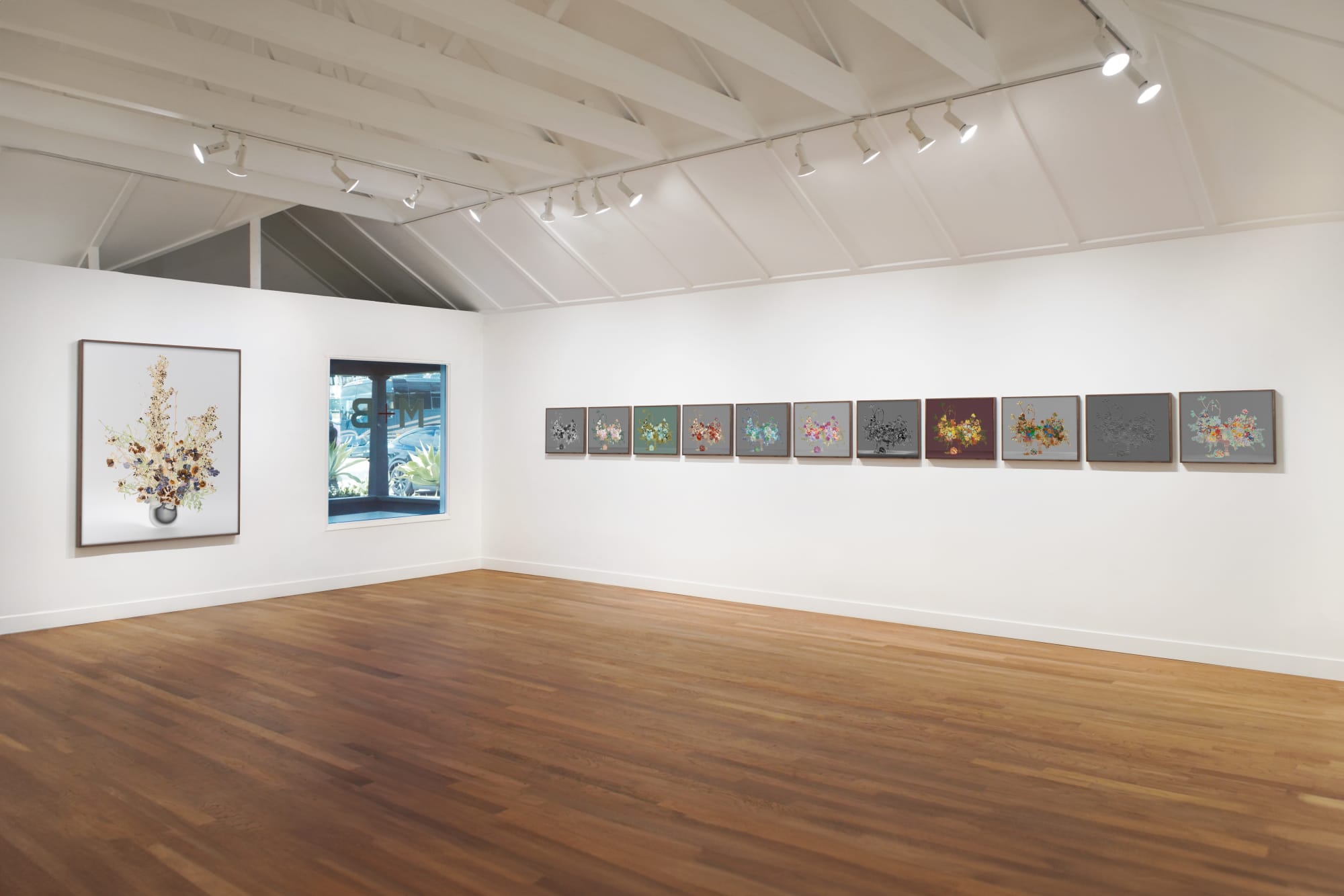 Installation view of Jessica Eaton: Mariphasa lupina lumina at M+B, Los Angeles