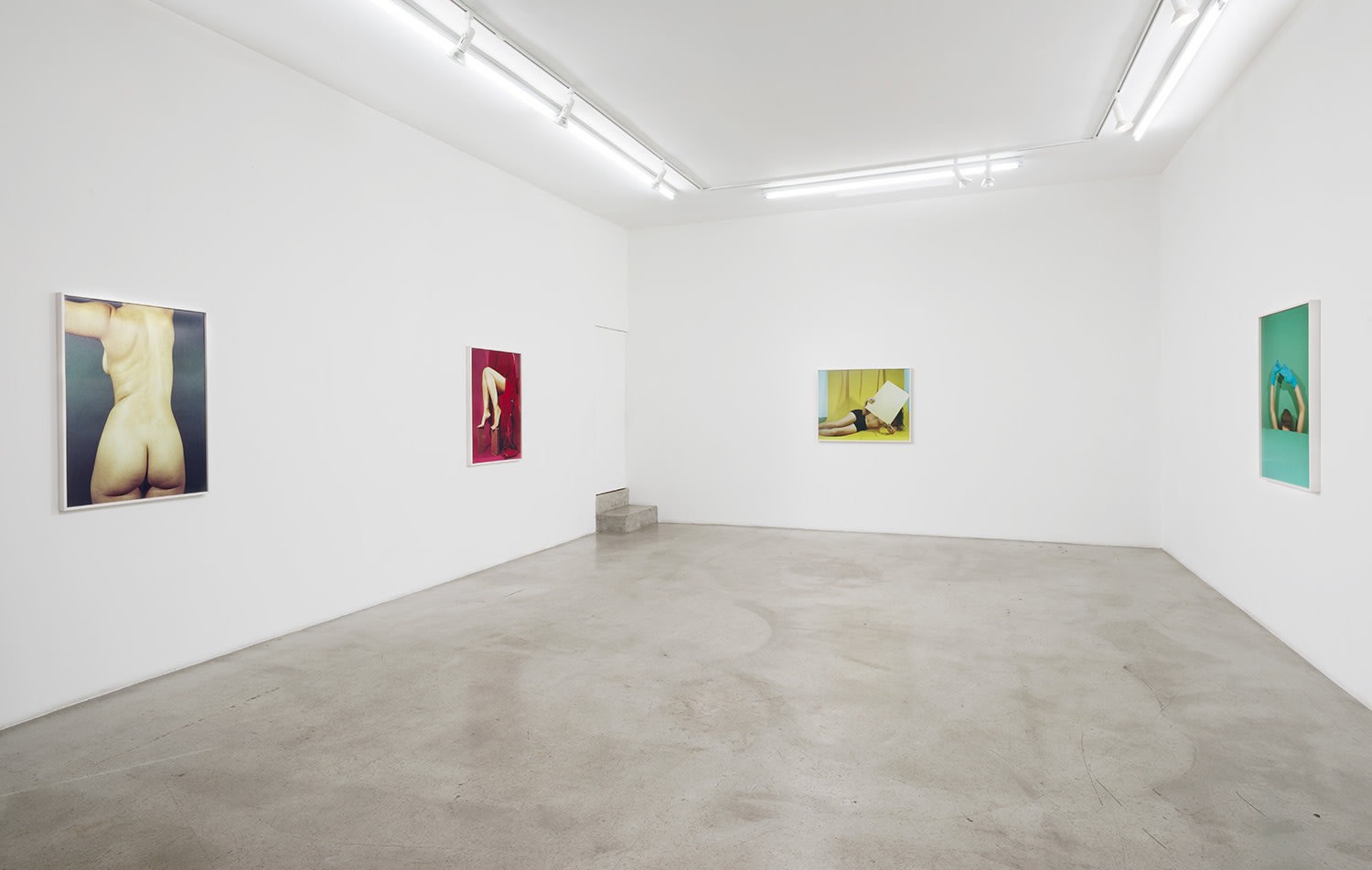 Installation view of Whitney Hubbs: Body Doubles at M+B, 2016