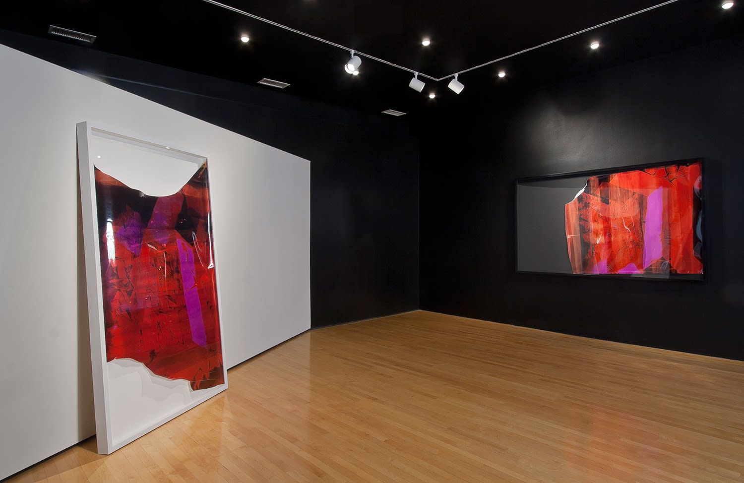 Installation view of Let’s Change at Grand Arts, Kansas City, 2012