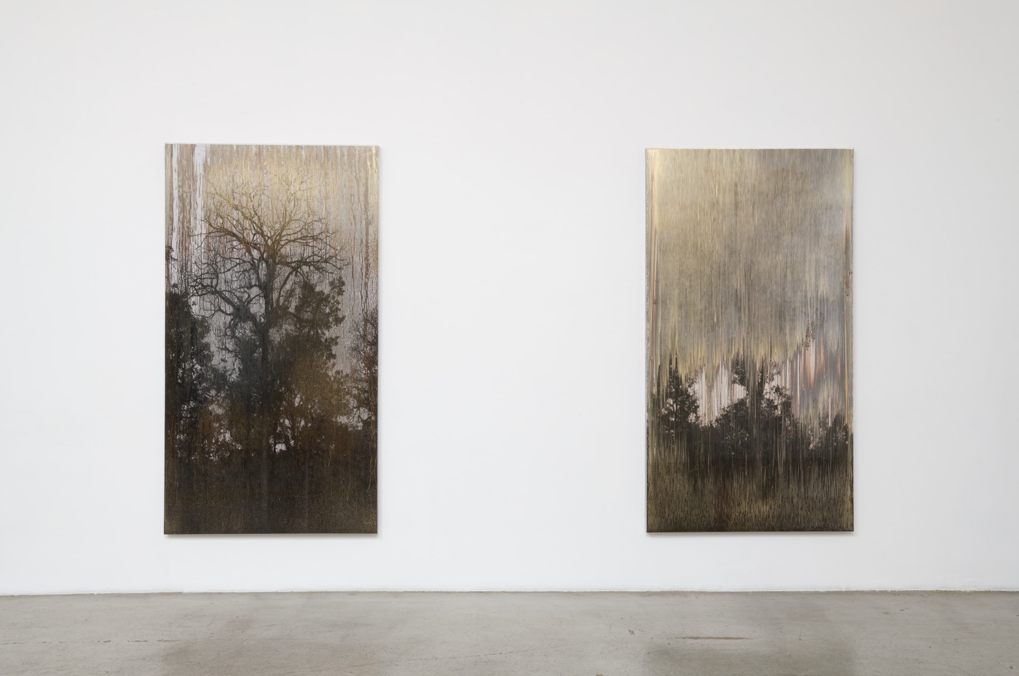 Matthew Brandt: AgX.Hb at M+B, February 24 - March 31, 2018